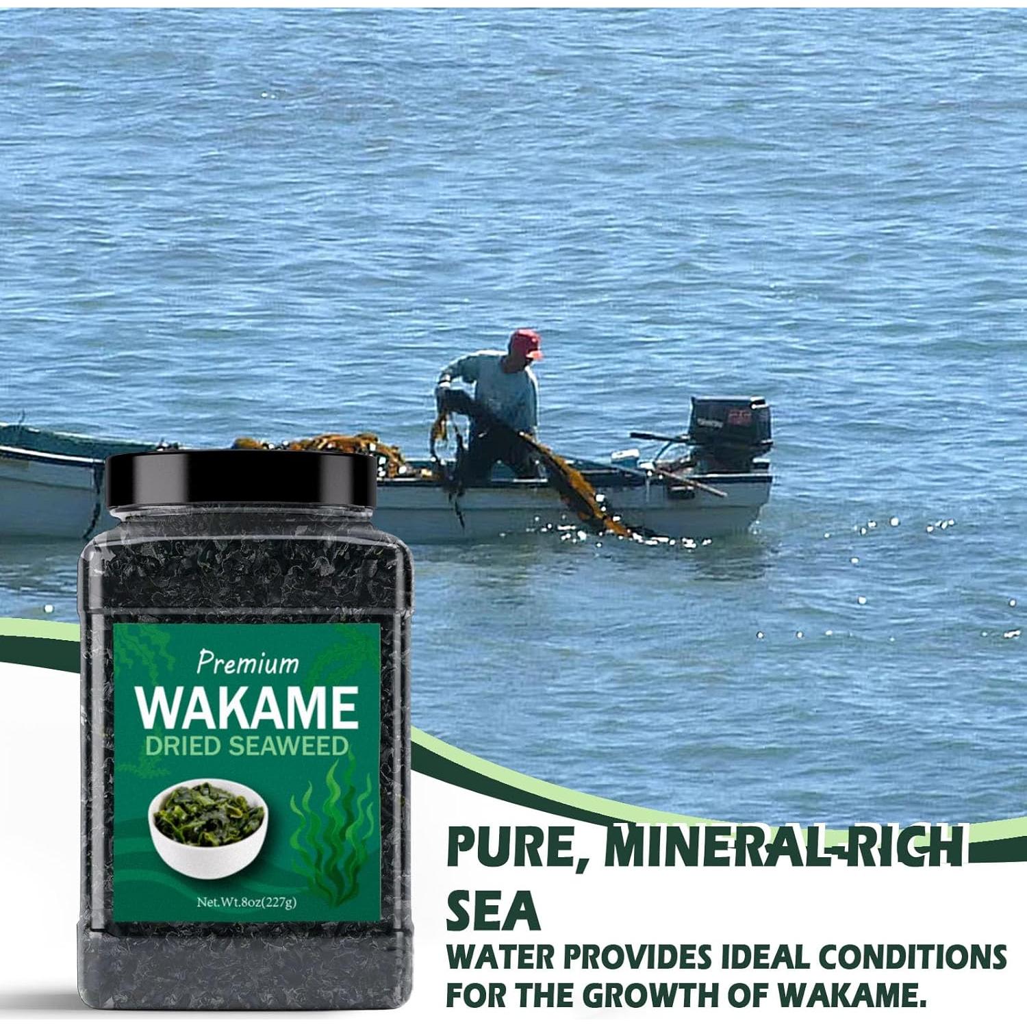 Algas Wakame Secas Premium HAVNDRAE 226.8g - Sin Gluten