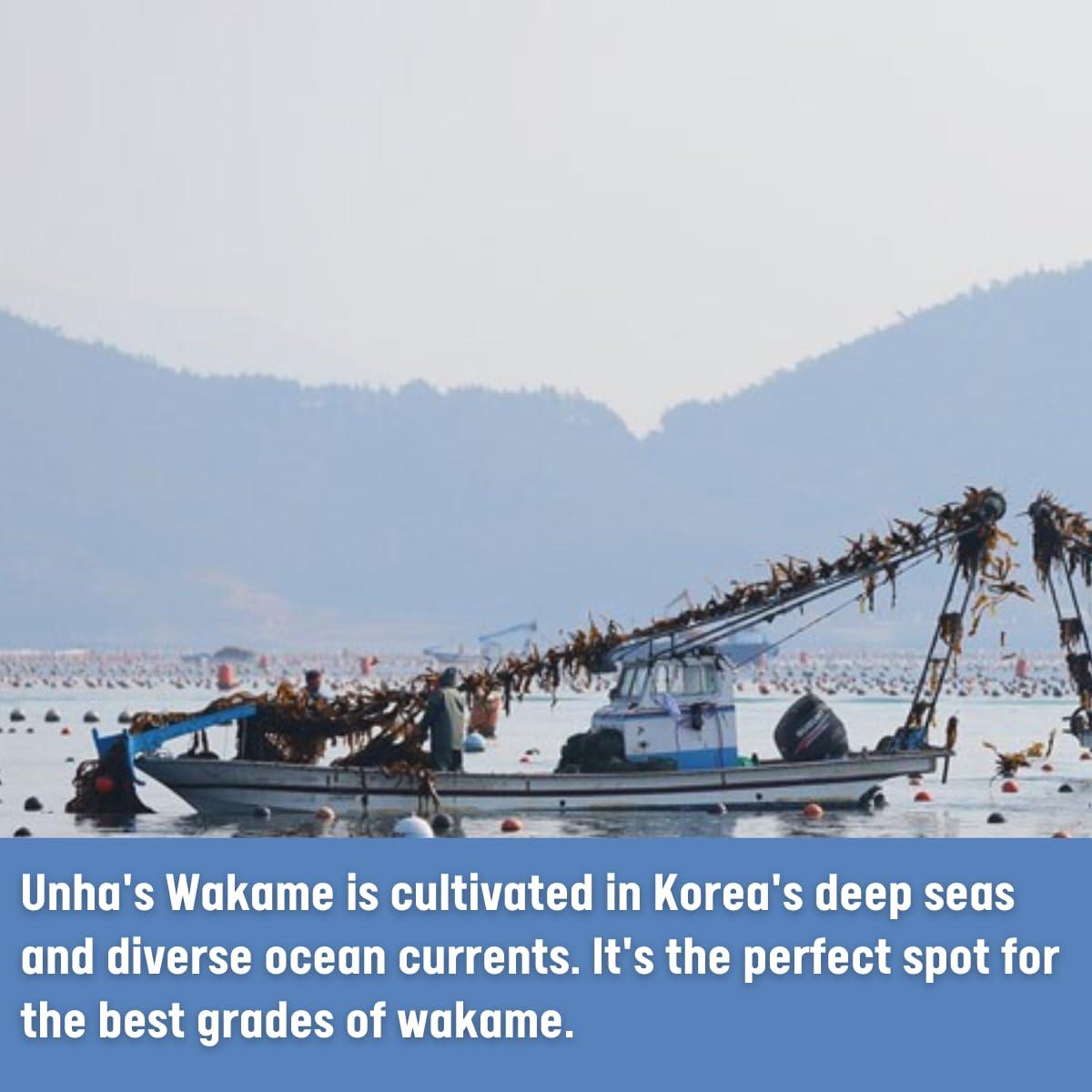 Alga Wakame Seco Plogmag 56.7 g - Natural para Sopa y Ensaladas