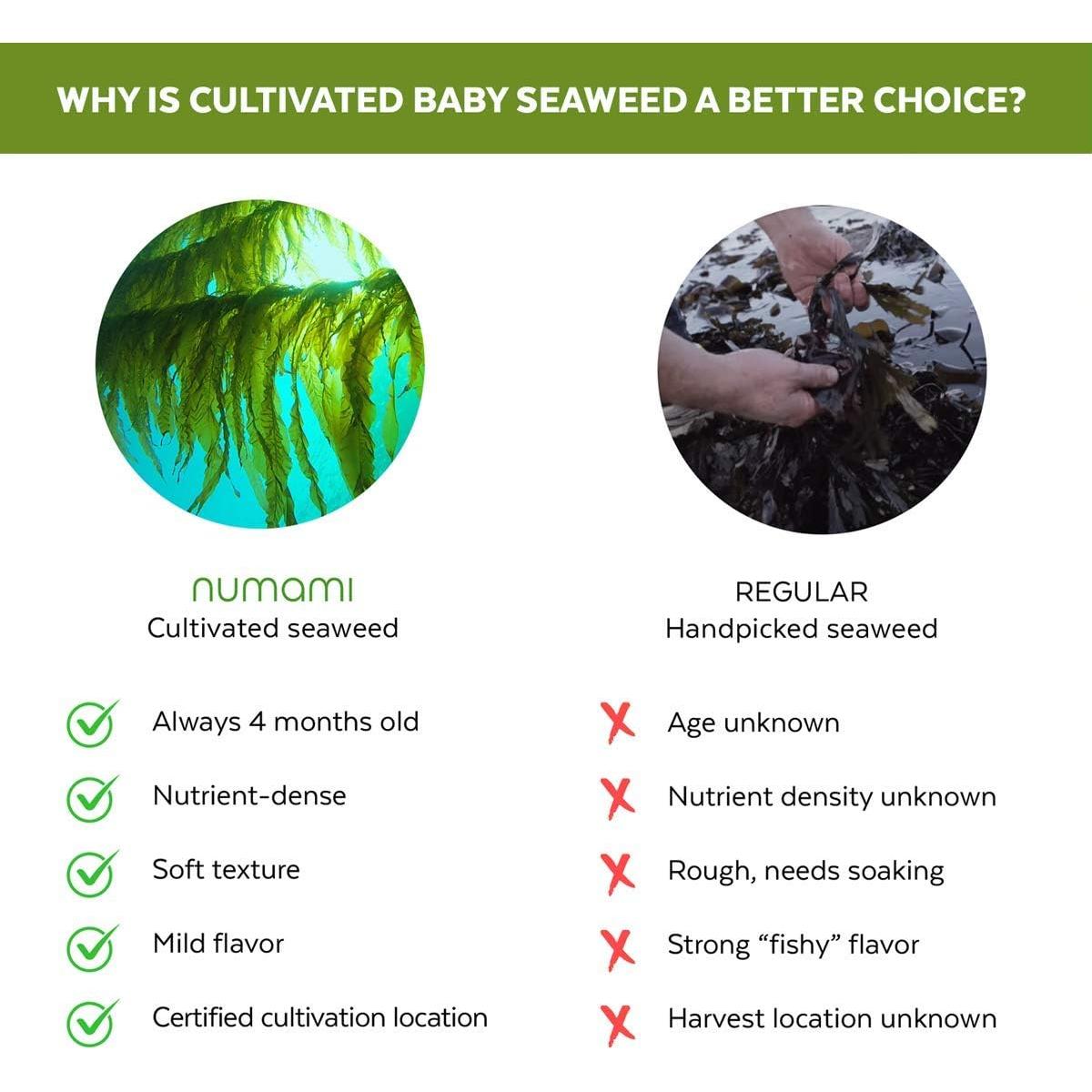 Copos de Algas Wakame Orgánicas Liofilizadas 18.14 g - Nordic Seaweed