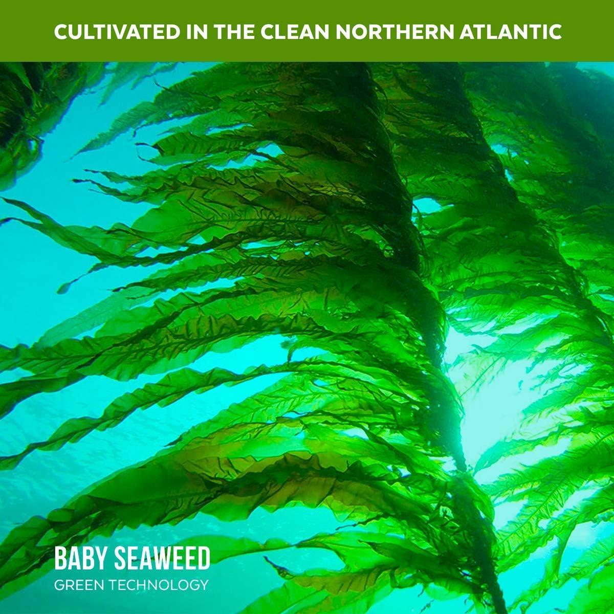 Copos de Algas Wakame Orgánicas Liofilizadas 18.14 g - Nordic Seaweed