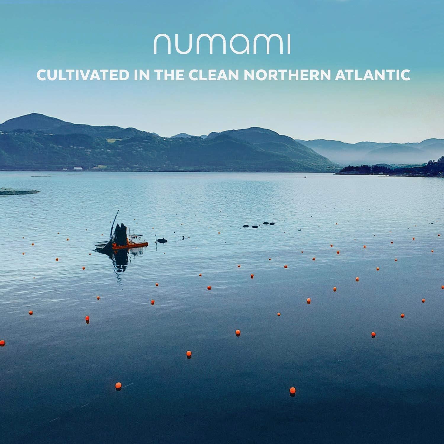 Copos de Algas Wakame Orgánicas Liofilizadas 18.14 g - Nordic Seaweed