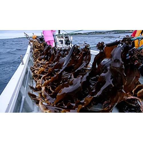 Kelp seco Hidaka Kombu 135g Fujiyahonten para caldo