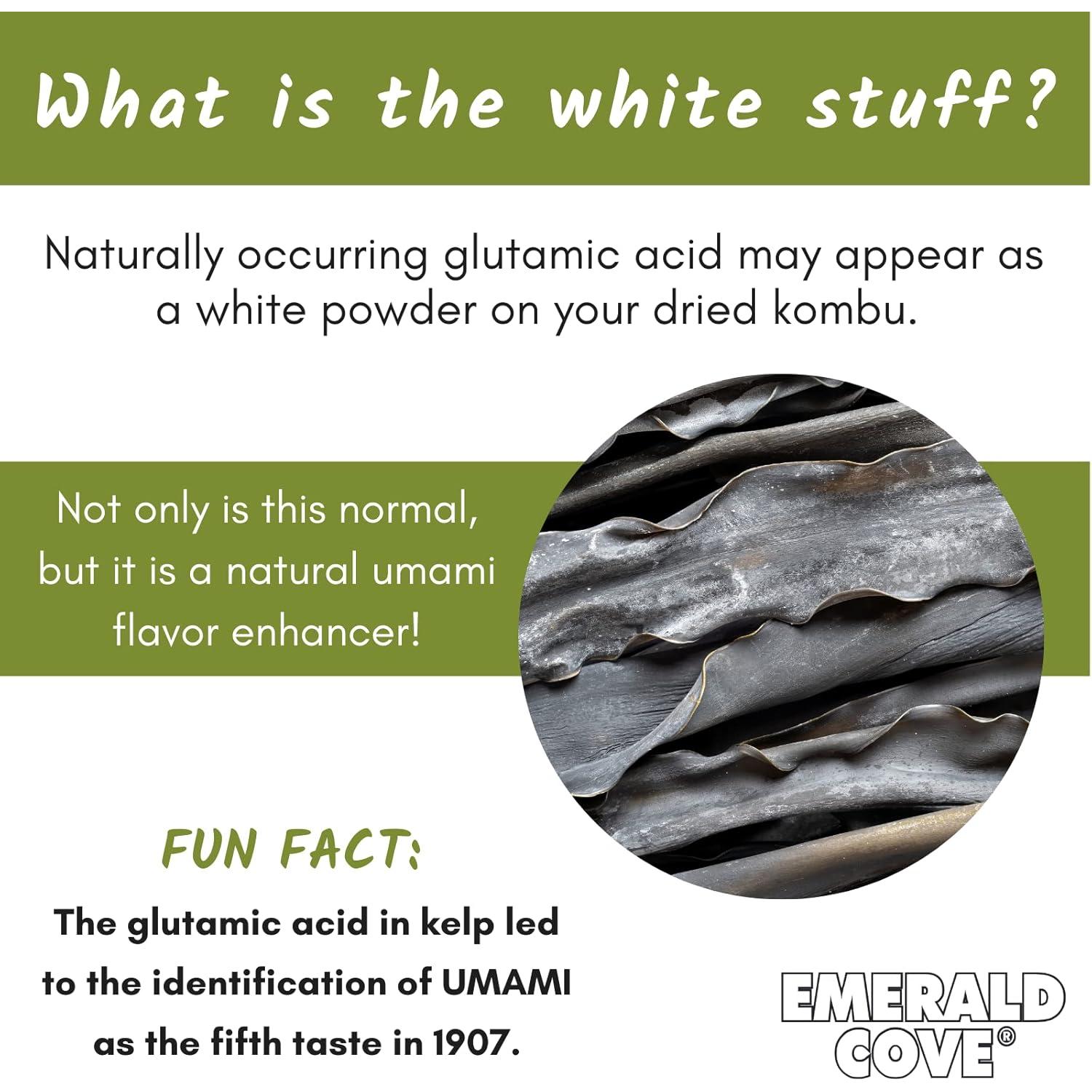 Kombu Seco Emerald Cove 50g - Alga Umami para Sopa Miso