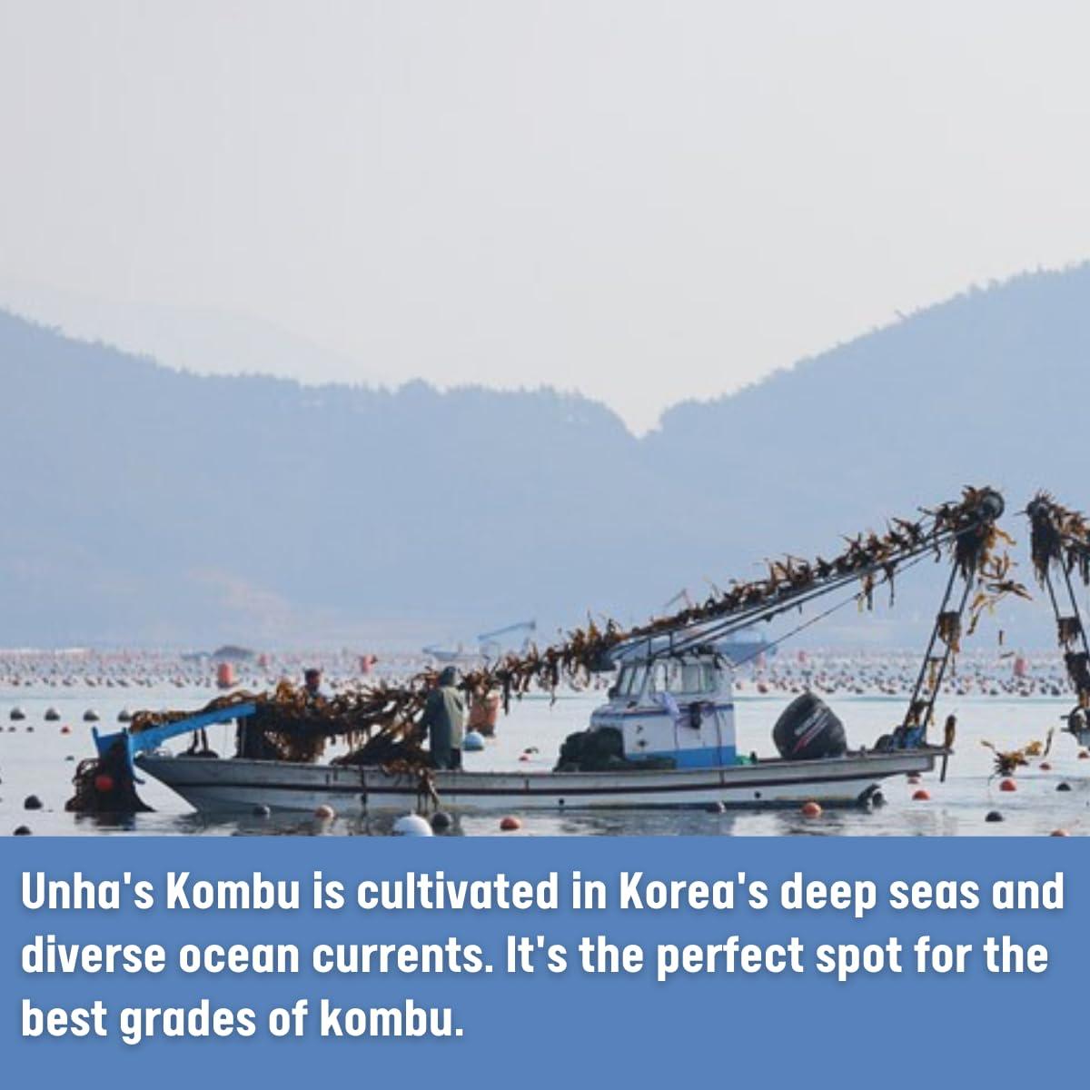 Kombu Seco Coreano 100% Natural - Alga Marina 200 g (2 Paquetes)