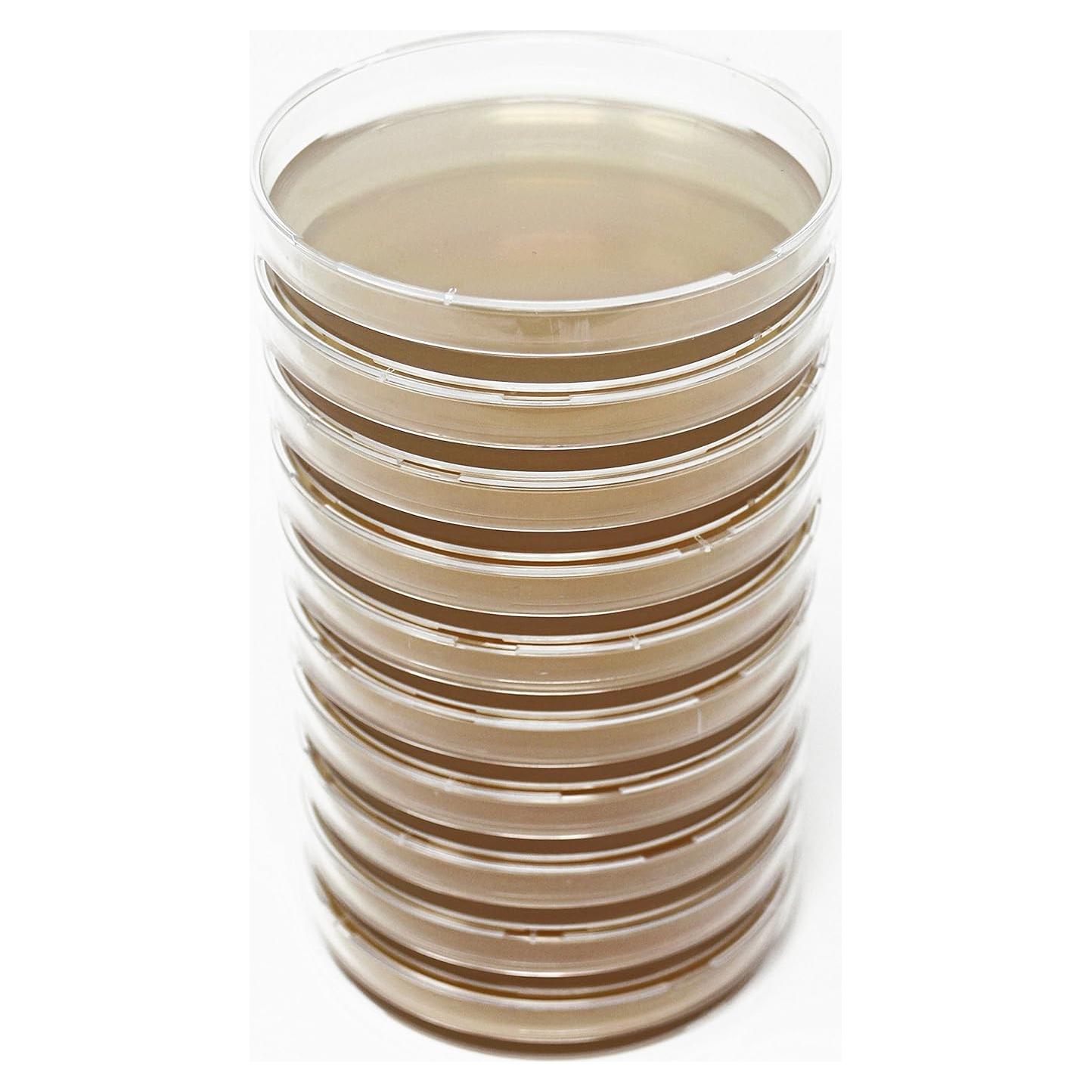 Placas de Agar de Extracto de Malta MEA EZ BioResearch - 10 Unidades