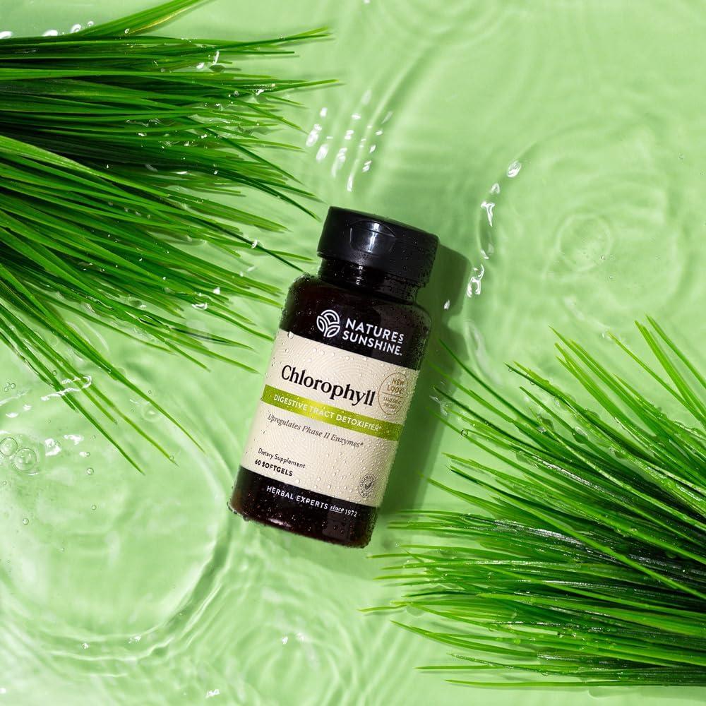 Clorofila Nature's Sunshine 60 Cápsulas Blandas Digestión Inmunidad