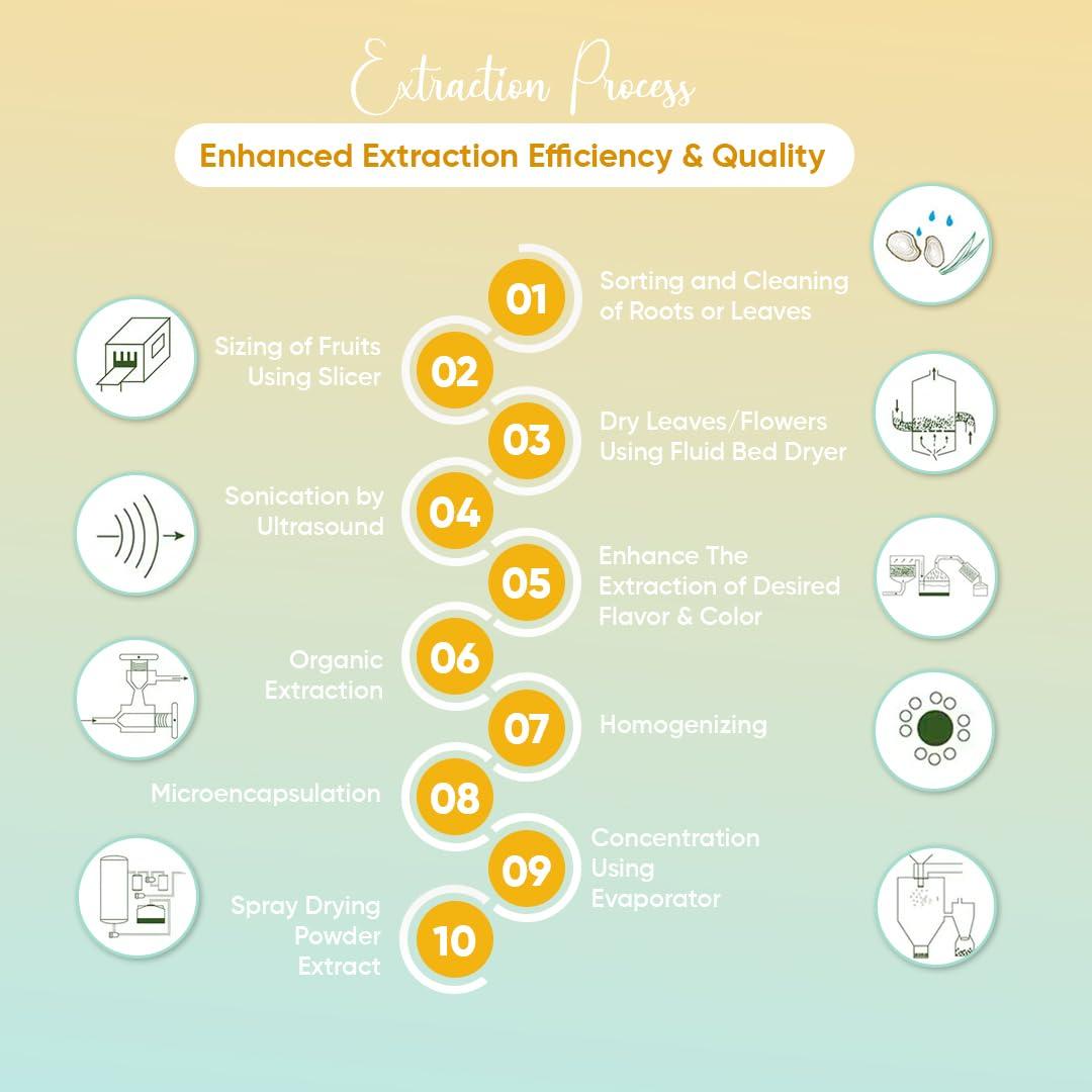 Polvo de Extracto de Piña 20:1 Bionutricia 200g - Sin Azúcar