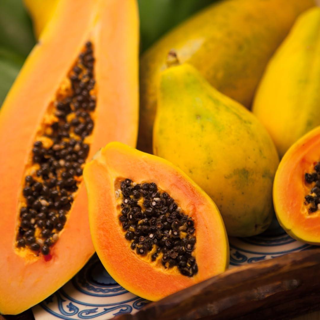 Extracto de Papaya Ingredientes Originales Puros 730 Cápsulas