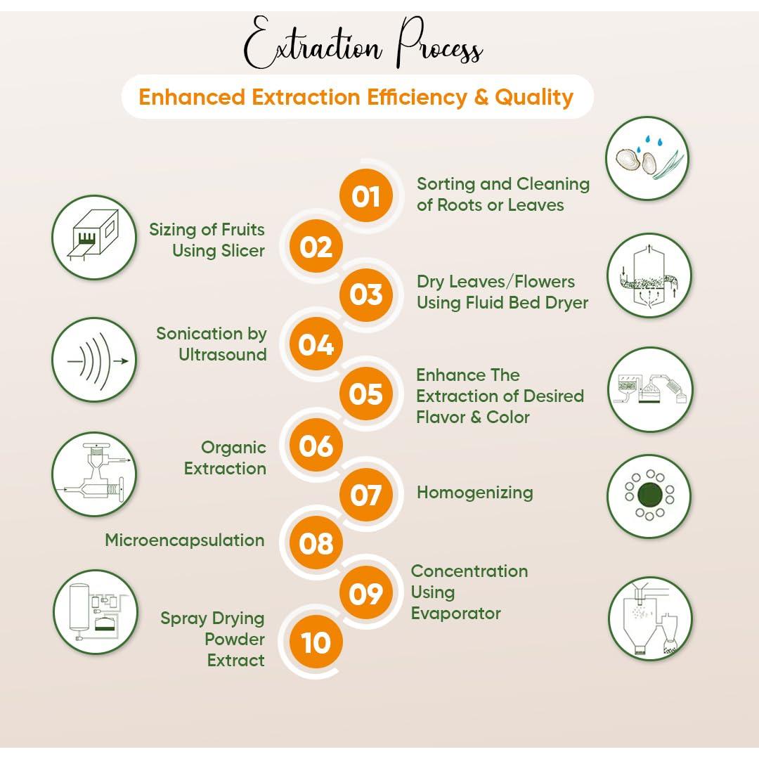 Polvo de Extracto de Mango Bionutricia 200g Antioxidante Vegano