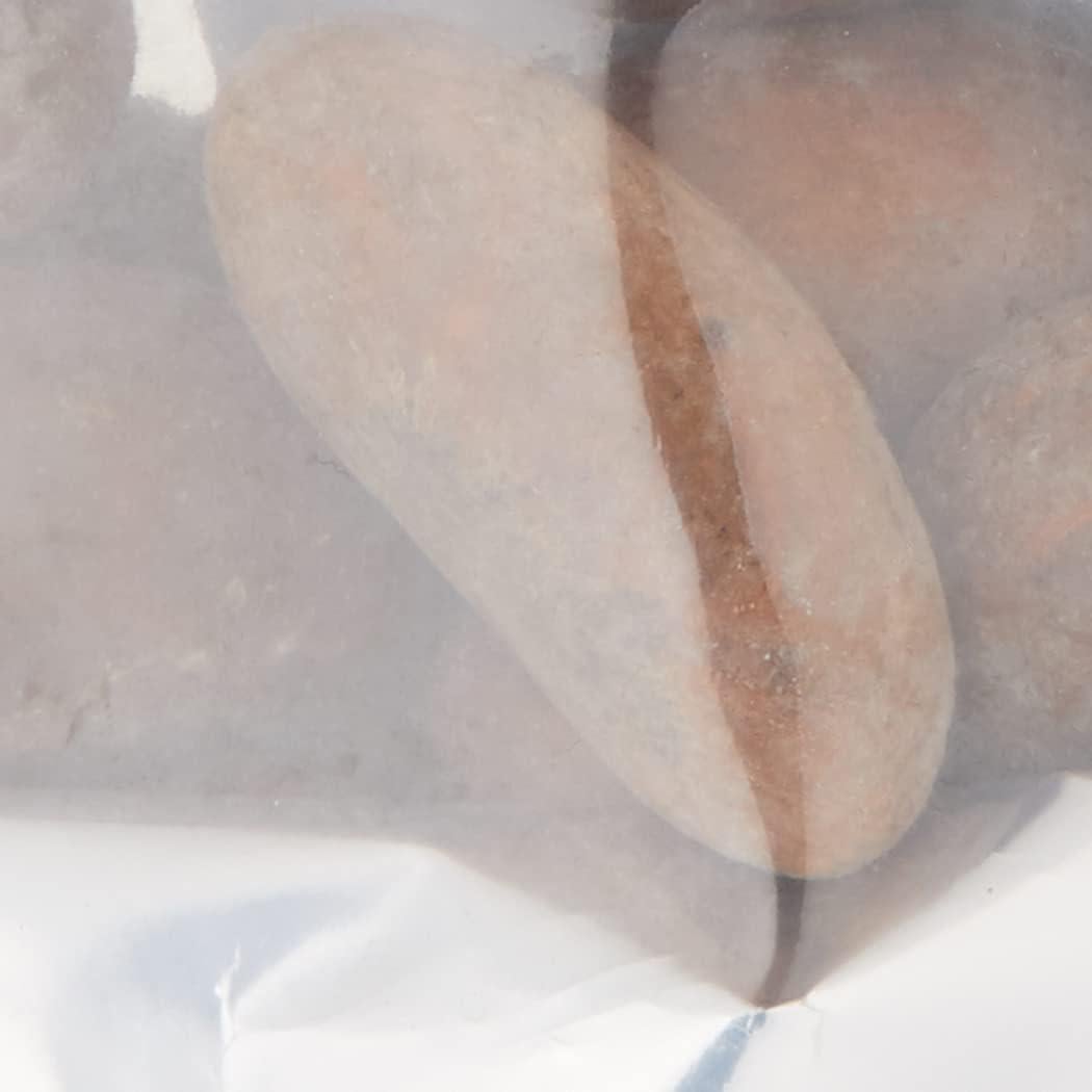 Garcinia Kola Orgánica KOPABANA 226g - Nueces Amargas