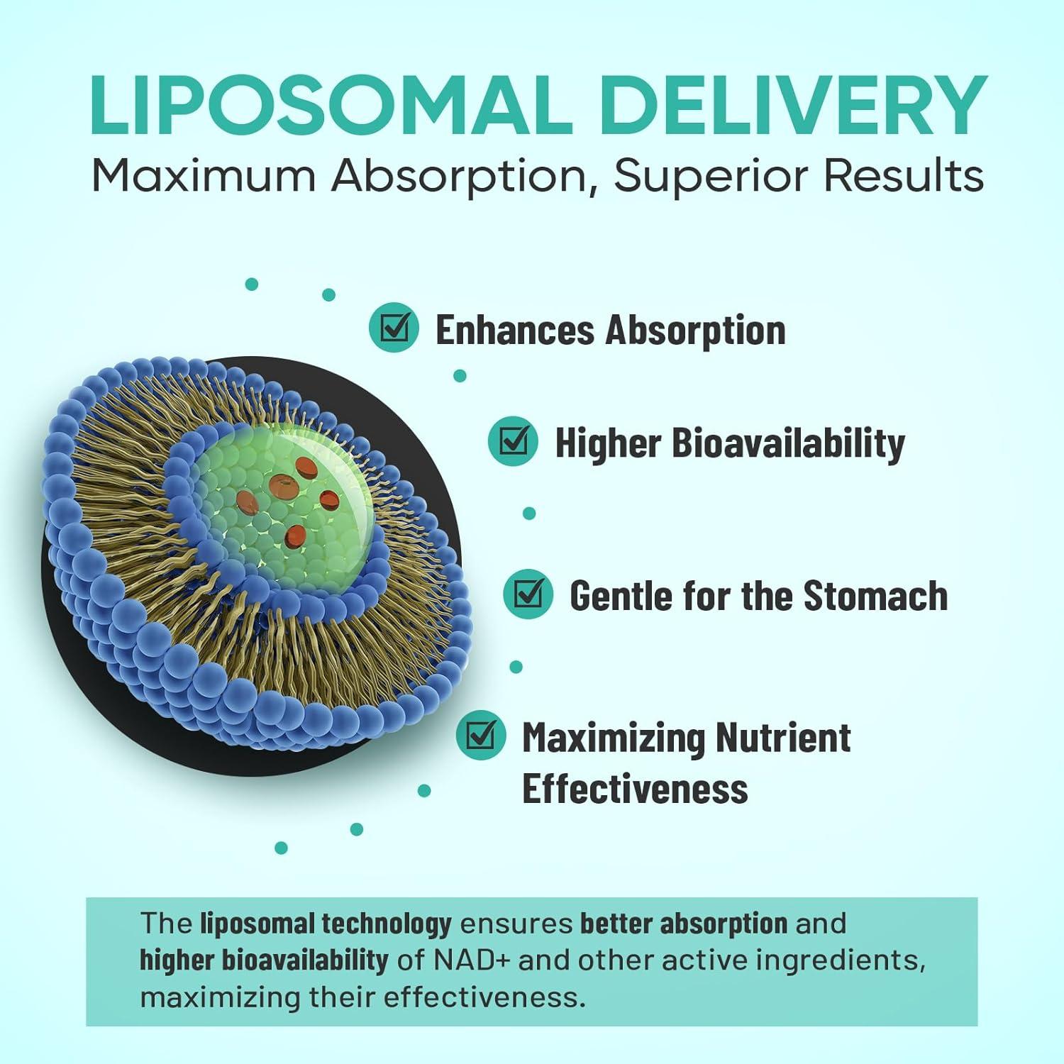 Suplemento de NAD+ Echeden 2000mg Liposomal 90 Cápsulas