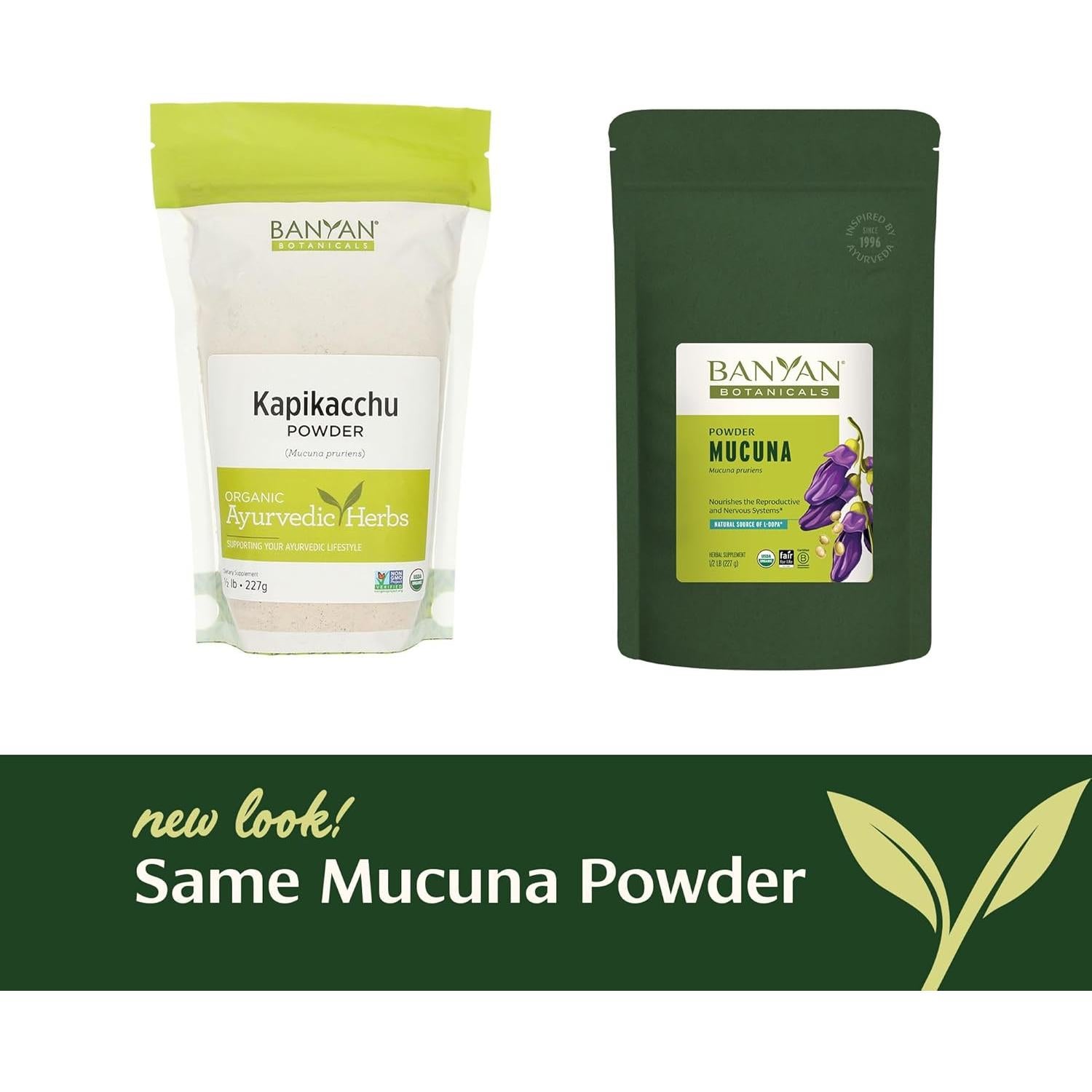 Kapikacchu en polvo Banyan Botanicals 226.8g - Orgánico