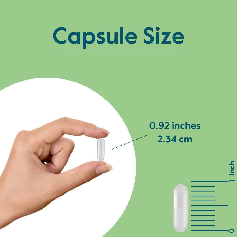 Ácido Pantoténico 500mg Bestvite - 240 Cápsulas Veganas
