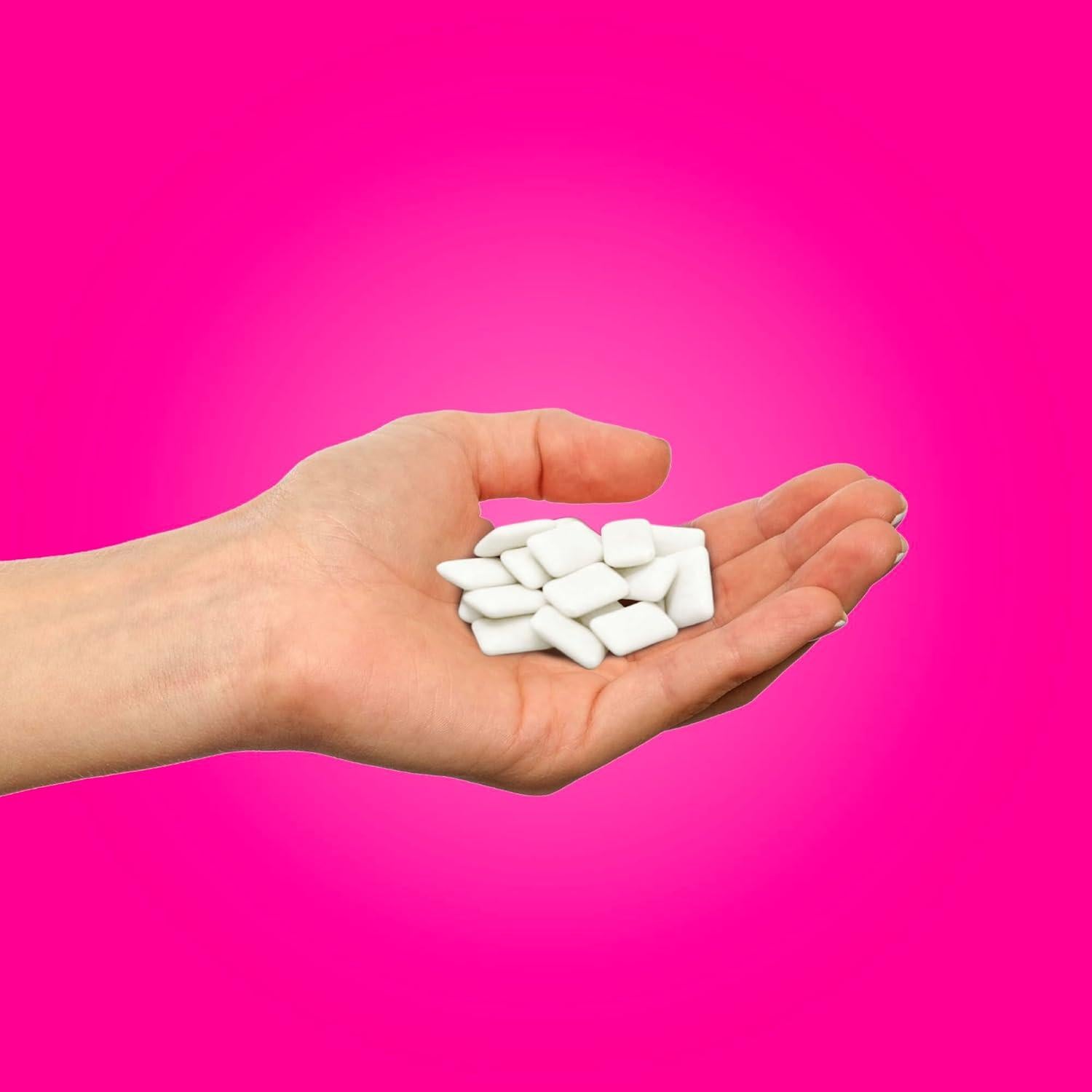 Chicle Sin Azúcar PUR | Variedad 55 Piezas | Sin Aspartame