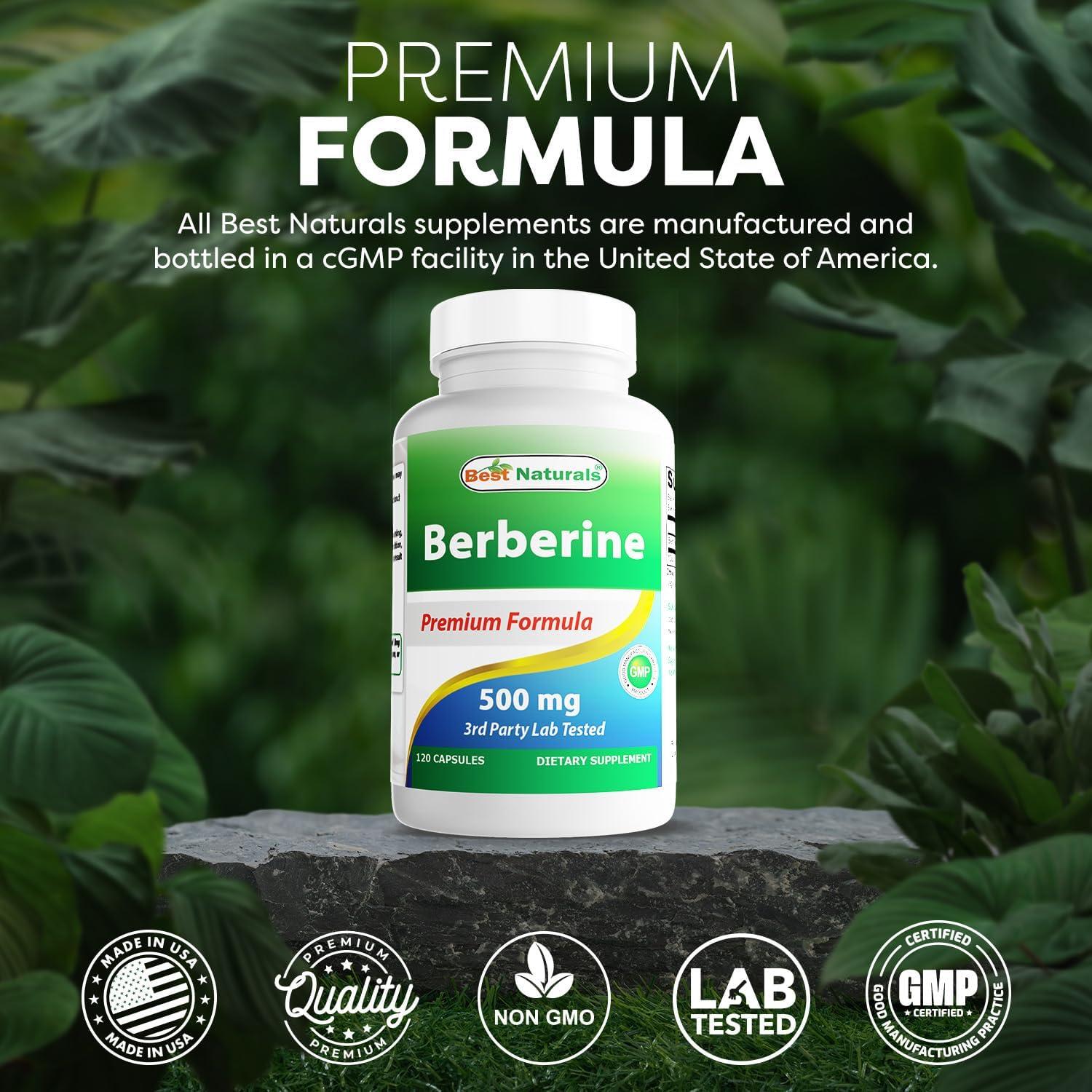 Berberina 500mg Mejores Naturales 120 Cápsulas - Salud Inmunológica
