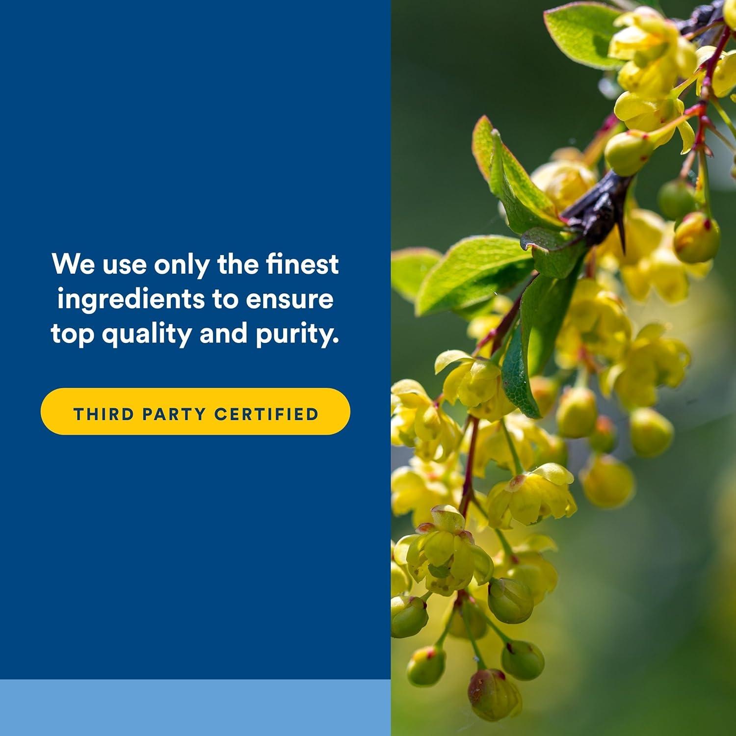 Suplemento Berberina Natural Factors 500 mg - 60 Cápsulas Veganas