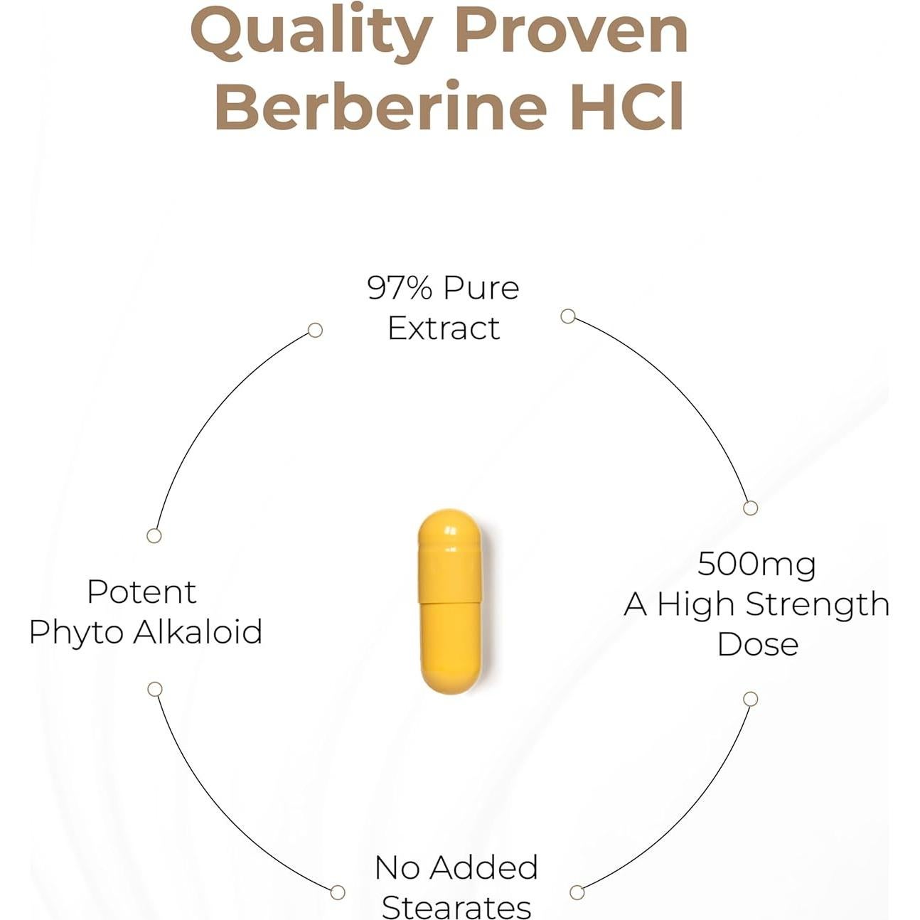Suplemento de Berberina HCL Sandhu 500mg 60 cápsulas Vegetariano