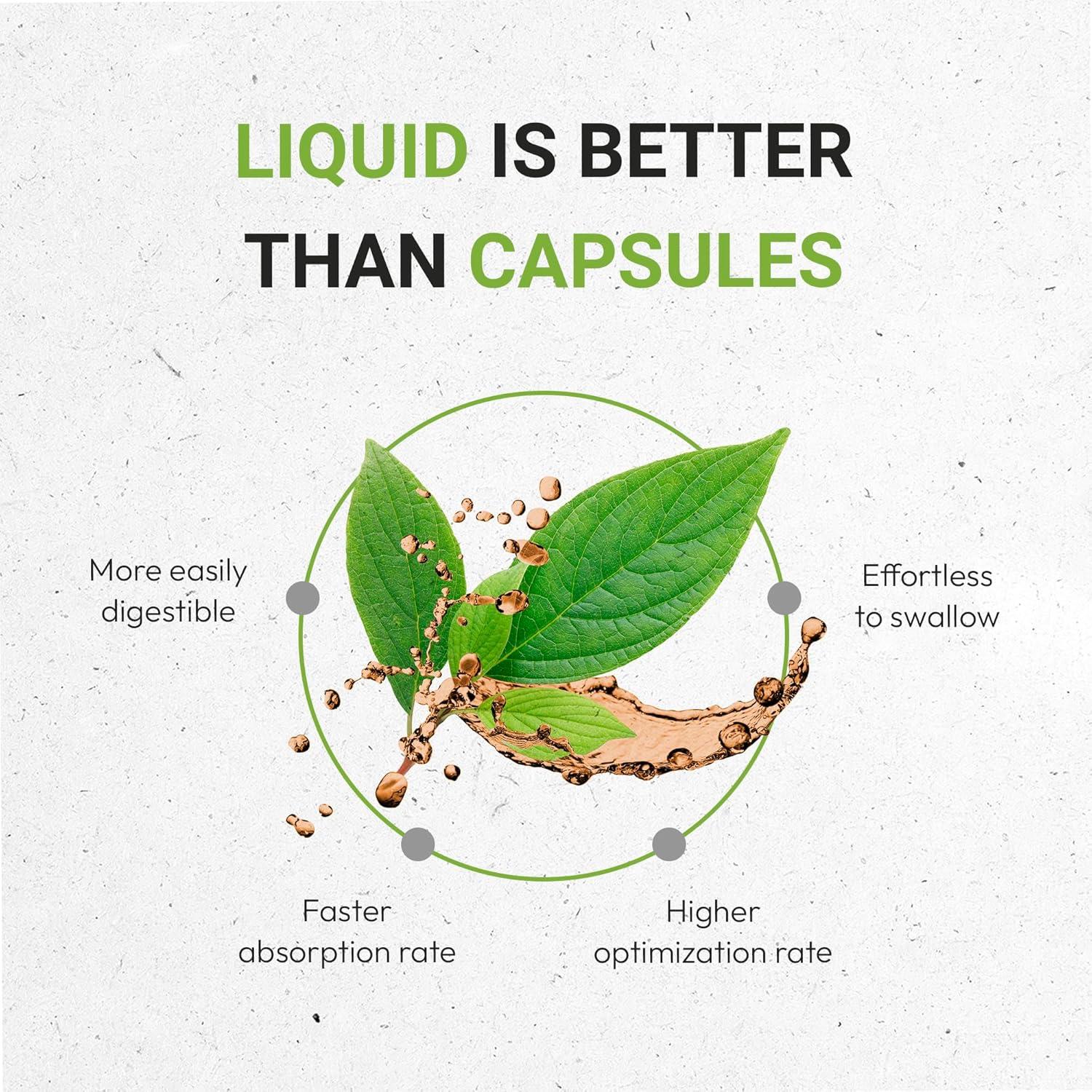 Extracto de Andrographis Sin Alcohol 60 ml - Secretos de la Tribu