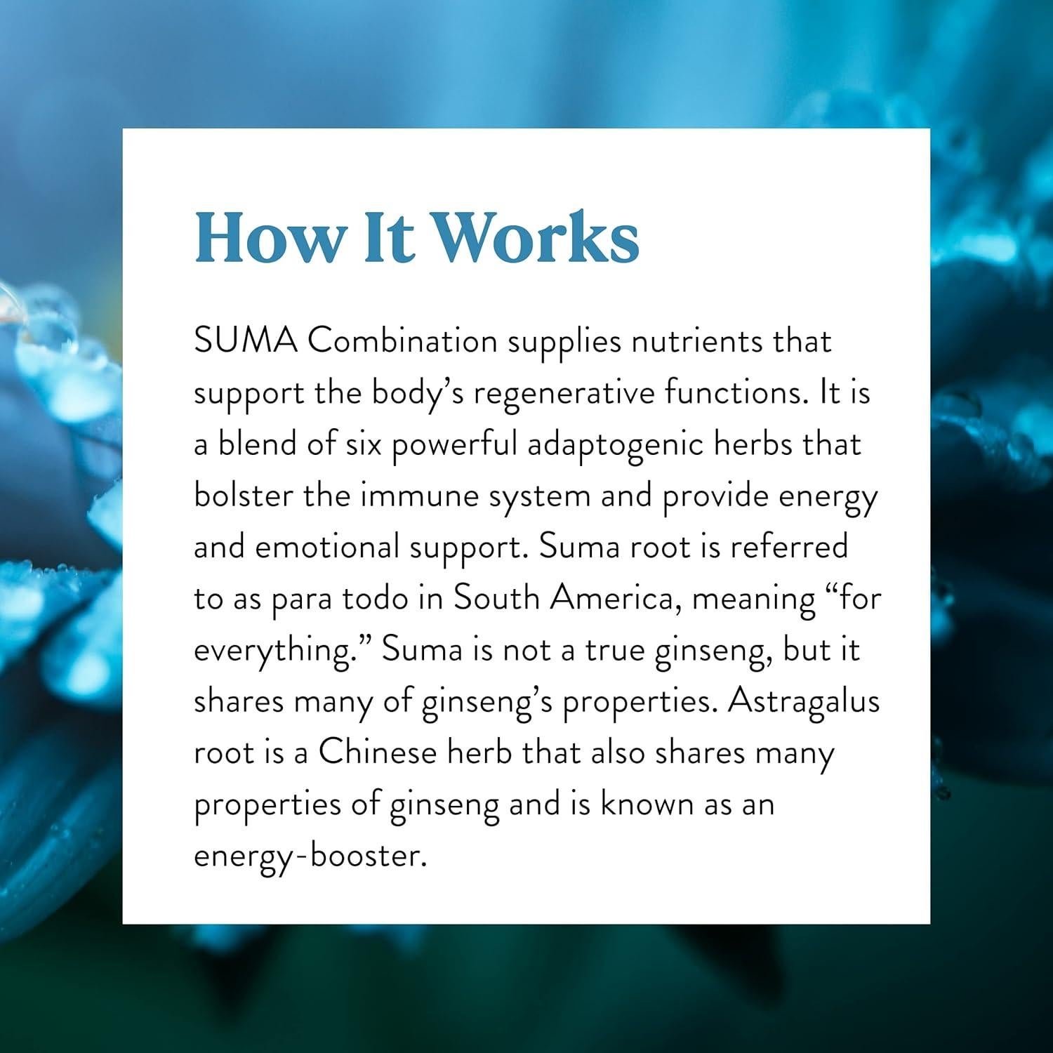 Suplemento Energético Nature's Sunshine Suma 100 Cápsulas