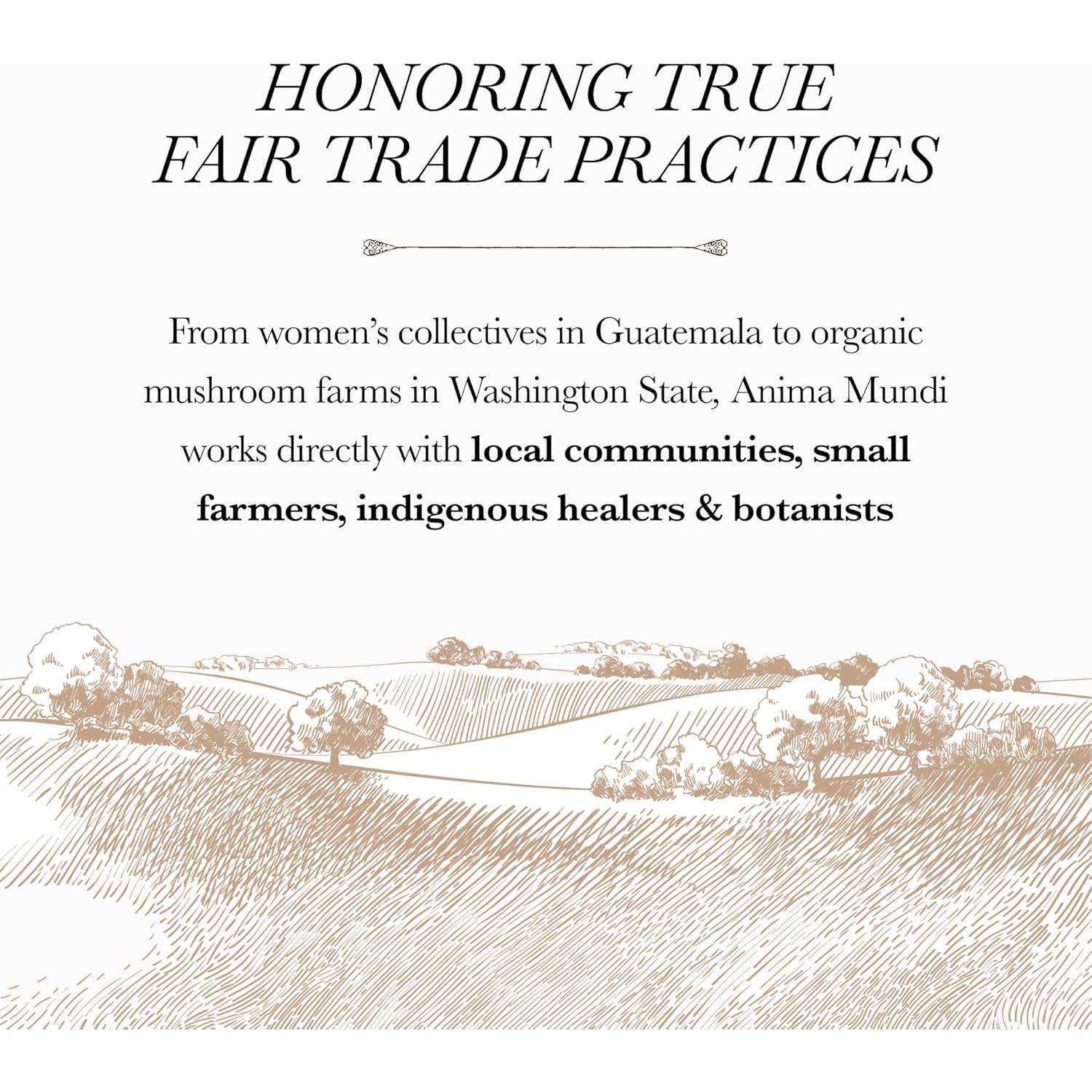 Polvo de Ginseng Brasileño Anima Mundi 113g - Suplemento Energético