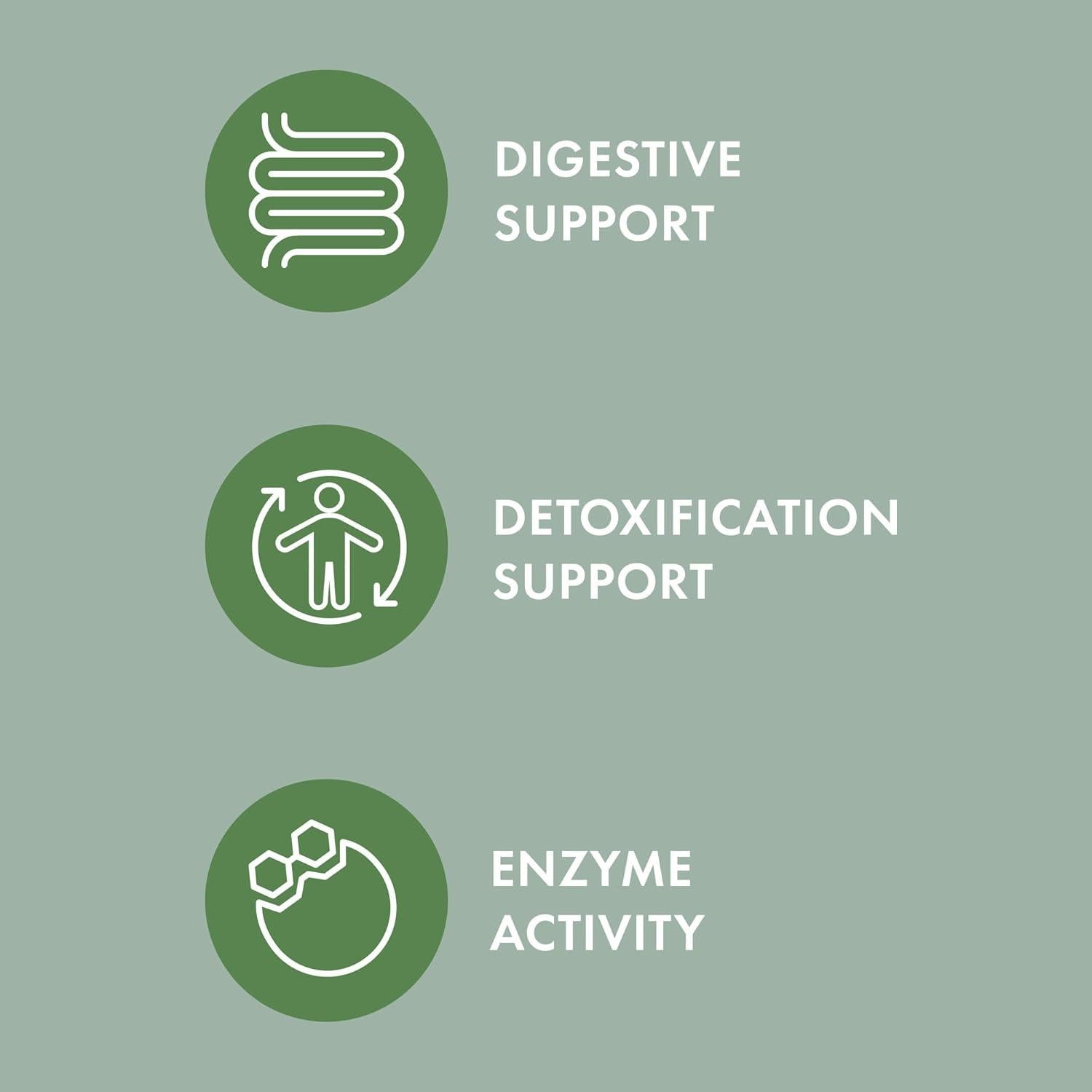 Suplemento Orgánico para Mascotas Dr. Mercola 60g - Hongos Fermentados
