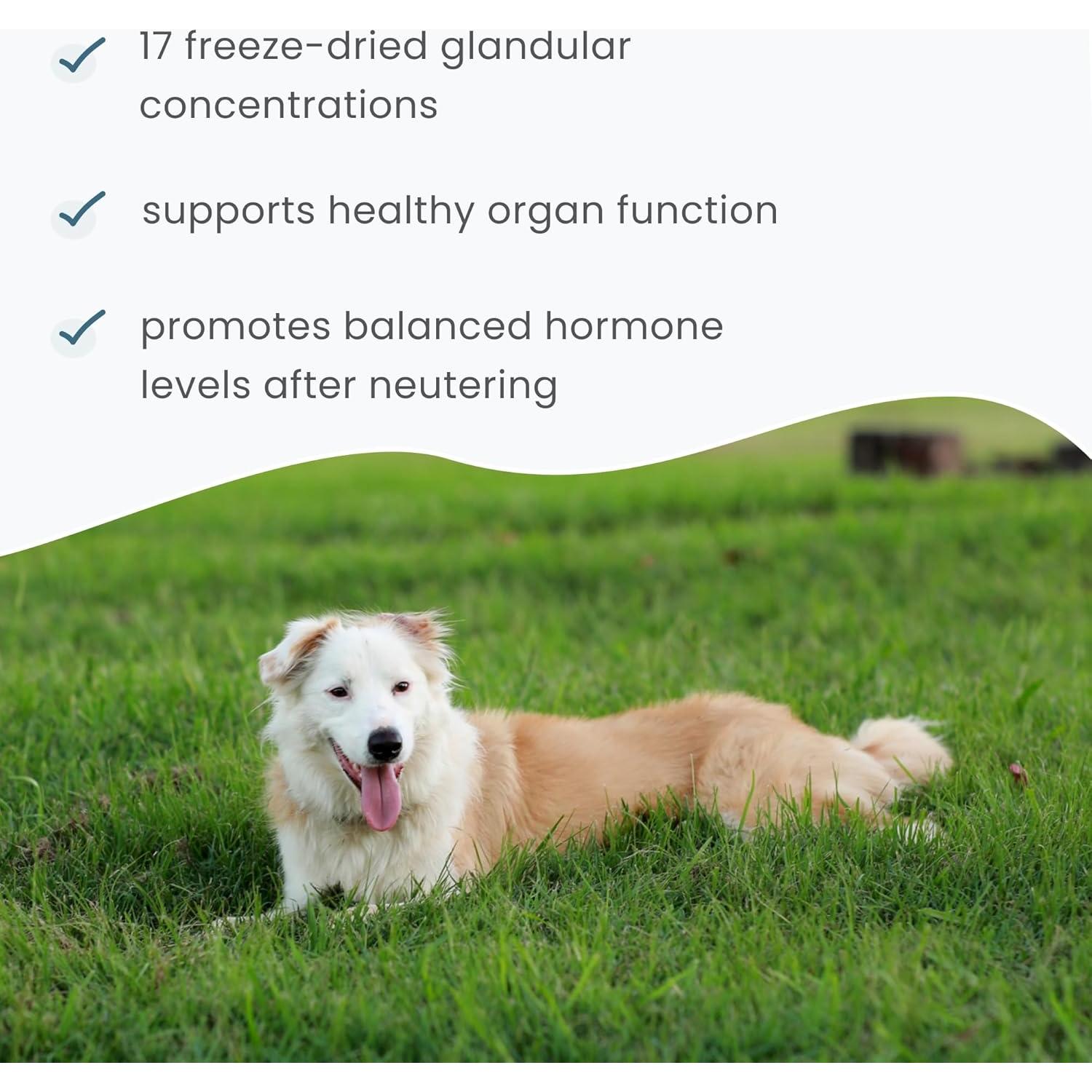 Dr. Mercola Apoyo Glandular para Perros y Gatos Macho 113.4g