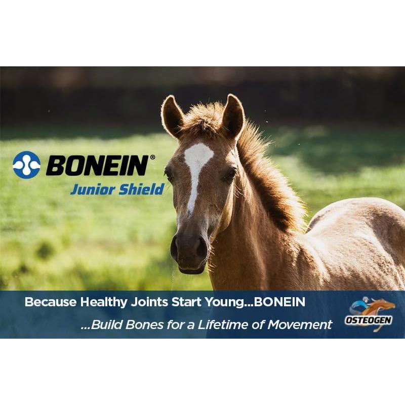 Suplemento BONEIN Junior Shield 3.18 kg para Huesos y Articulaciones de Potros