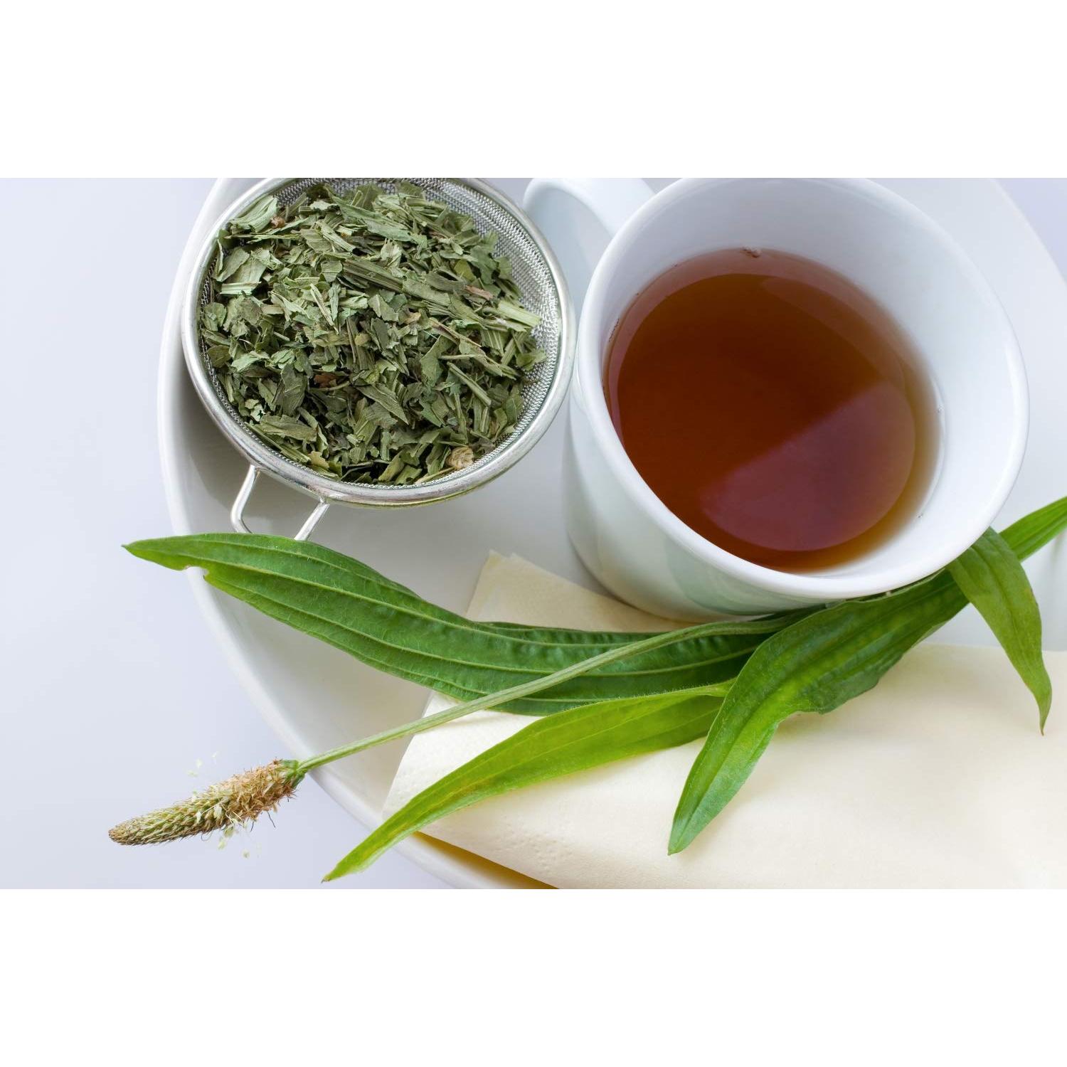 Té Herbal Hoja de Plátano Inglés Health Embassy 50g