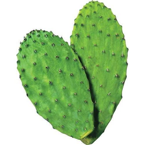 Polvo de Nopal Orgánico Maxx Herb 340 g - Alto en Fibra y Calcio