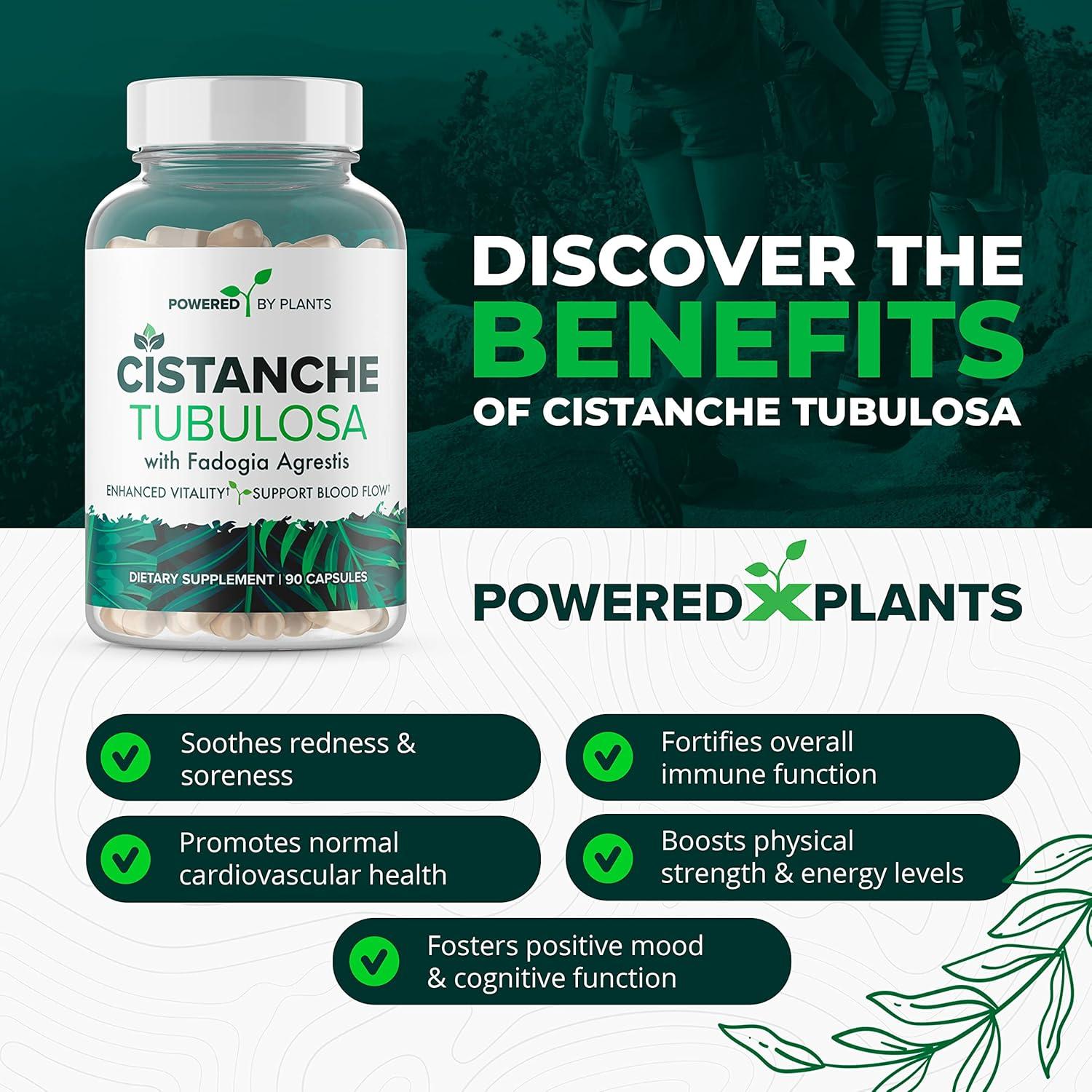 Suplemento Natural Cistanche Tubulosa Powered X Plants 90 Cápsulas