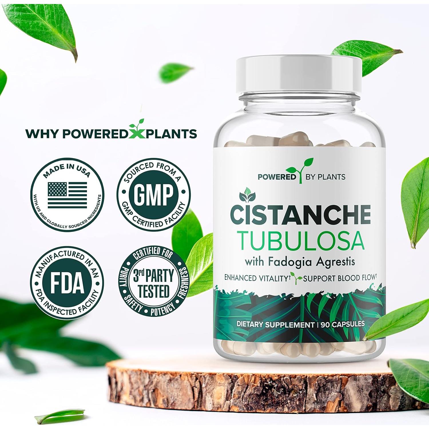 Suplemento Natural Cistanche Tubulosa Powered X Plants 90 Cápsulas