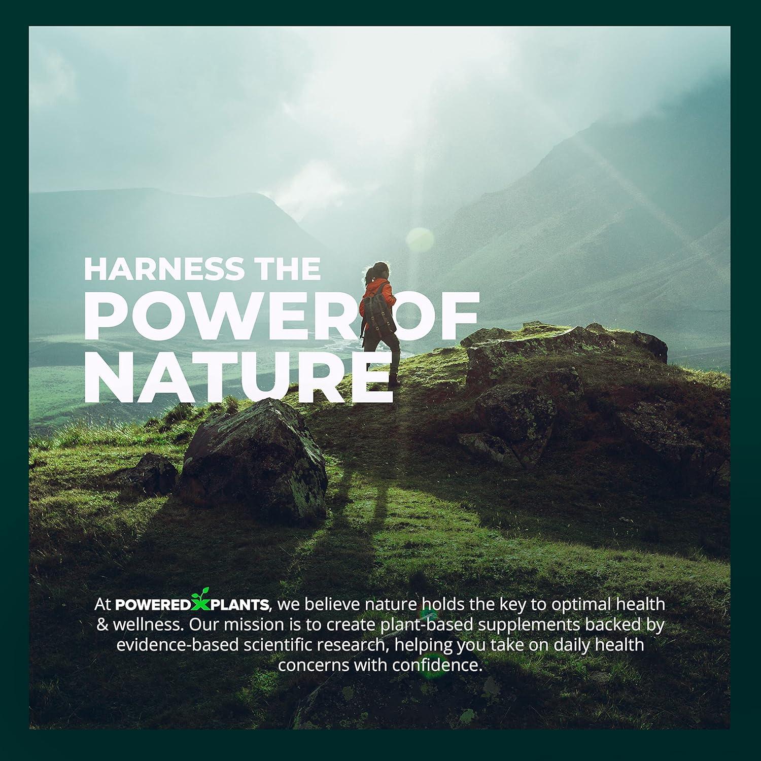 Suplemento Natural Cistanche Tubulosa Powered X Plants 90 Cápsulas