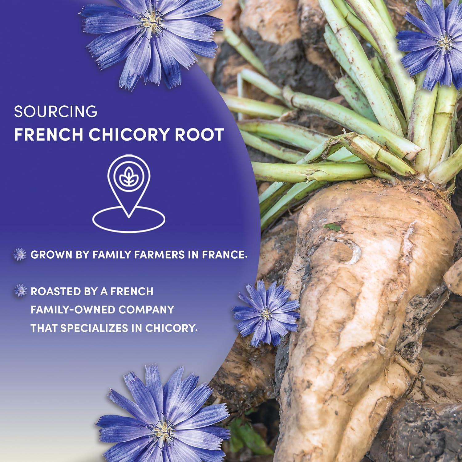 Raíz de Achicoria Francesa Worldwide Botanicals 0.45kg - Sin Cafeína