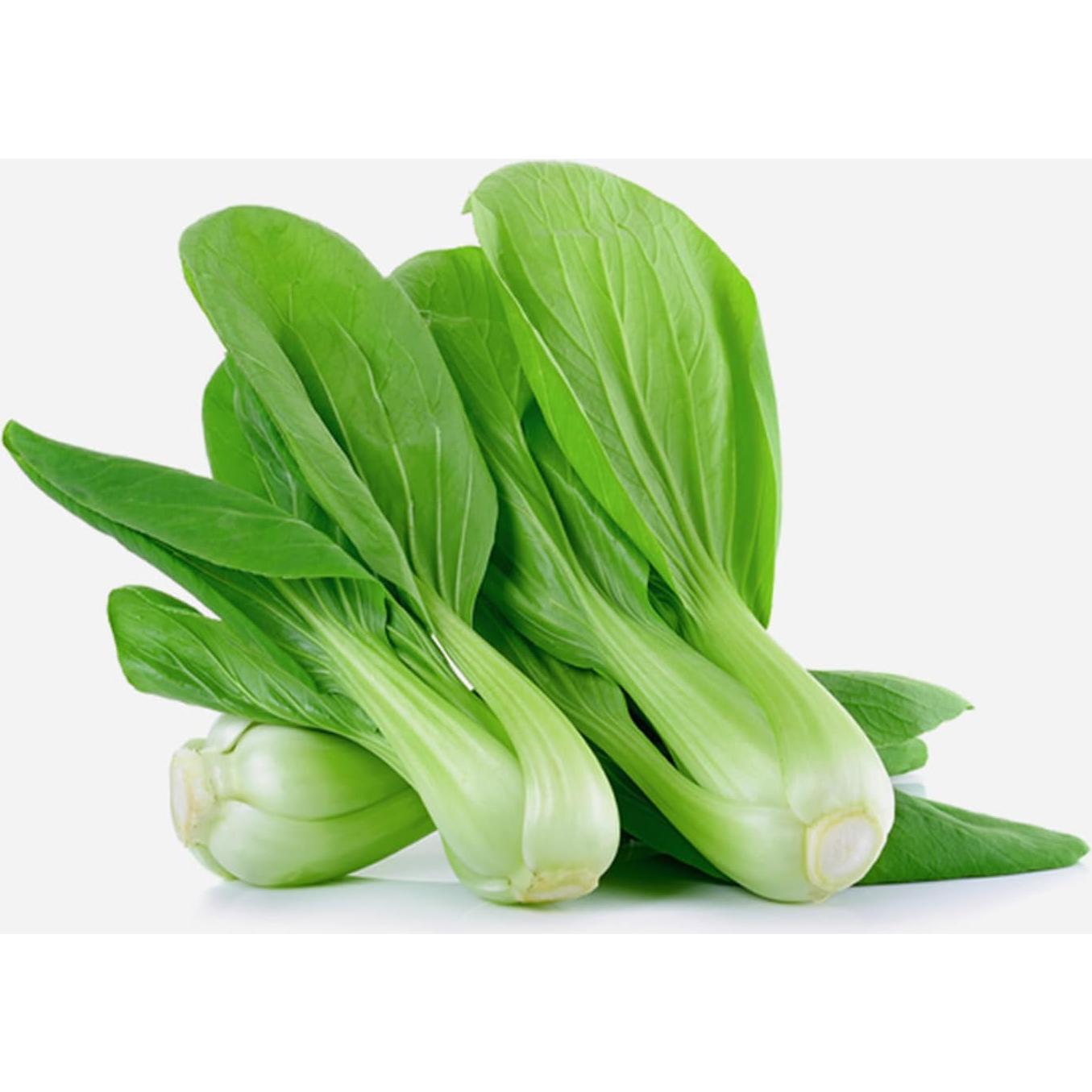 Extracto en polvo de Pak Choi orgánico 300g - Dropship