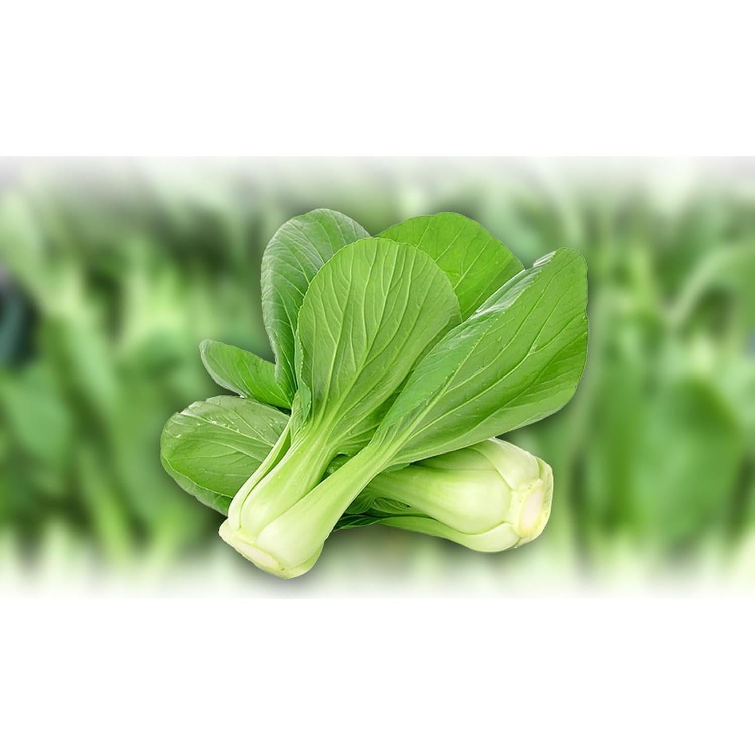 Pak Choi Seco Natural Puro (Bok Choy) 300g - Cortado y Tamizado
