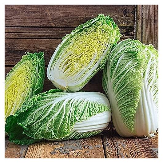 Napa Michihili Heading Cabbage Seed, 50 Count, Heirloom, Non GMO Seed Tasty Healthy Veggie