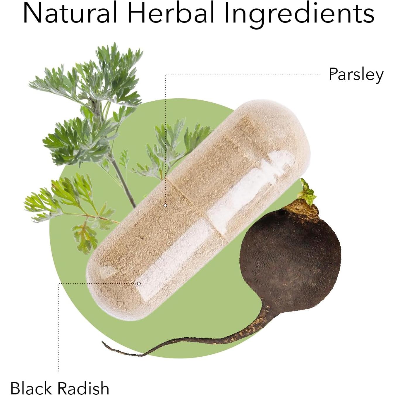 Suplemento Herbal Kroeger Rábano Negro y Perejil 90g