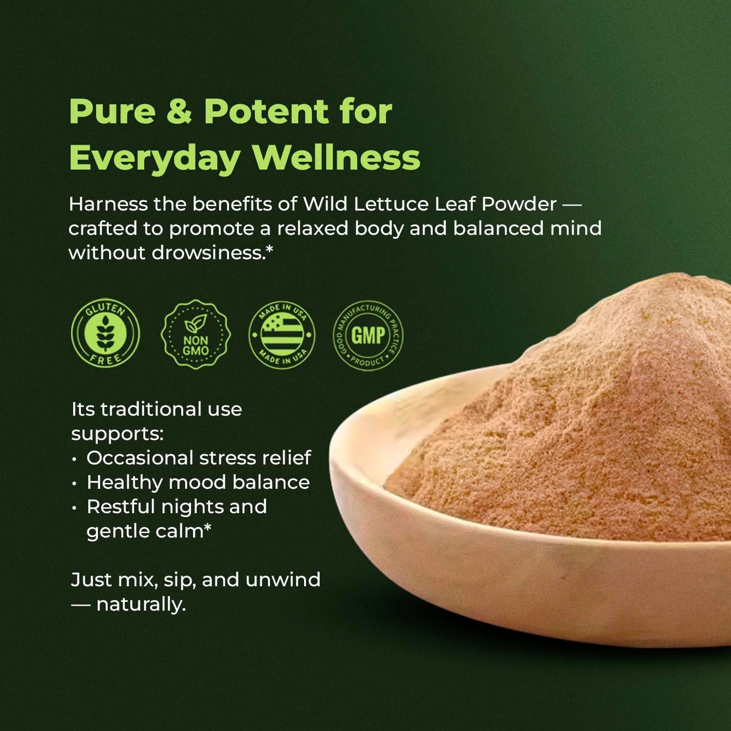 Polvo de Hoja de Lechuga Silvestre Natural Amazing Botanicals 30g