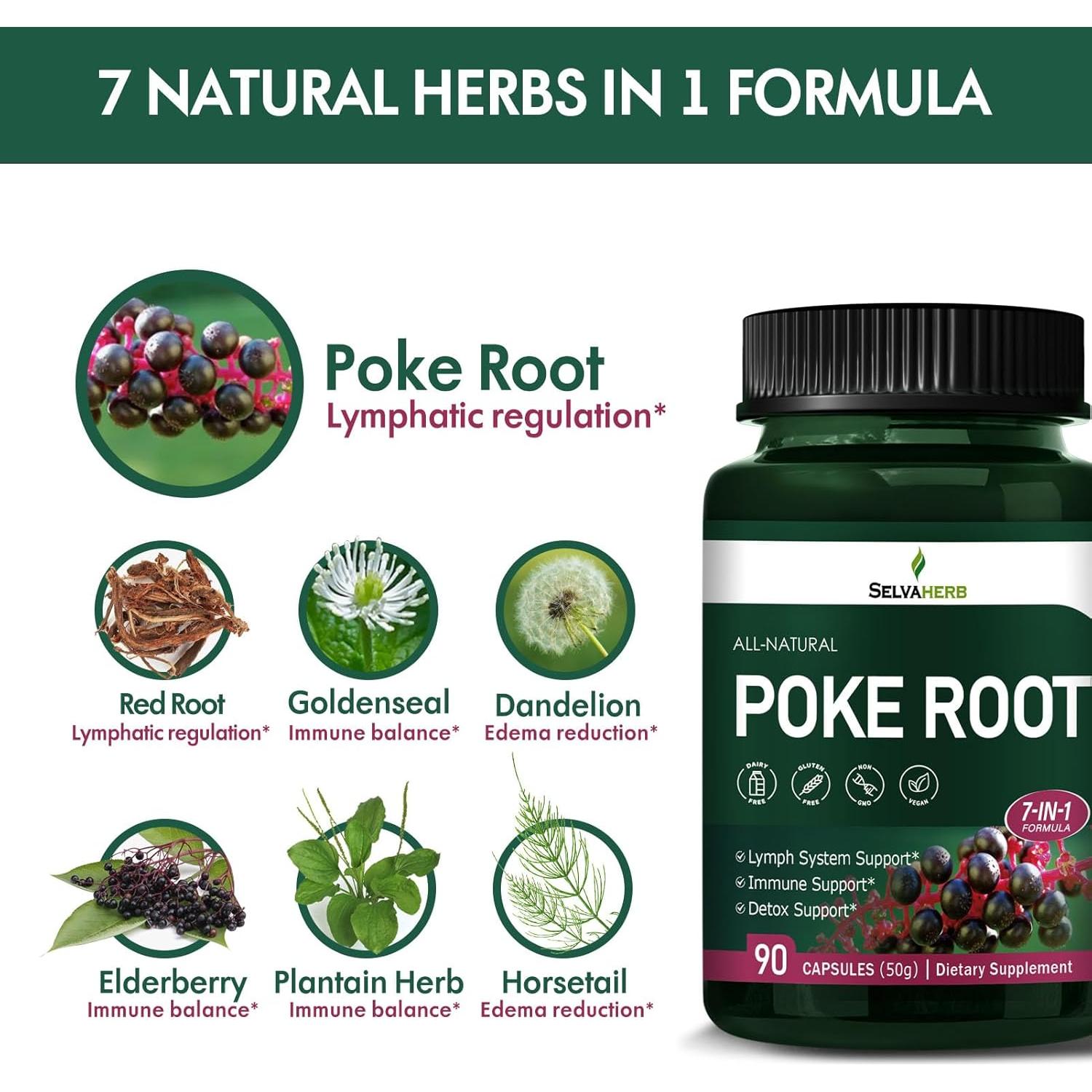 Cápsulas de Raíz de Poke Selvaherb 90 Conteo - Drenaje Linfático