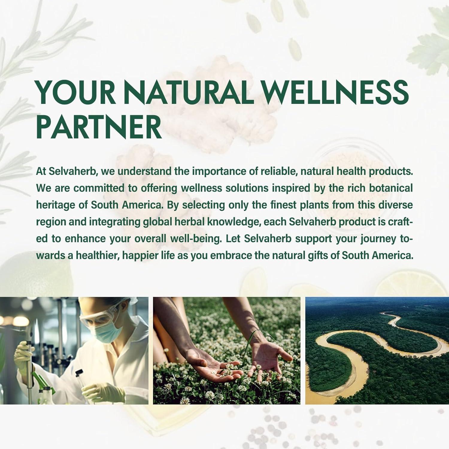 Cápsulas de Raíz de Poke Selvaherb 90 Conteo - Drenaje Linfático