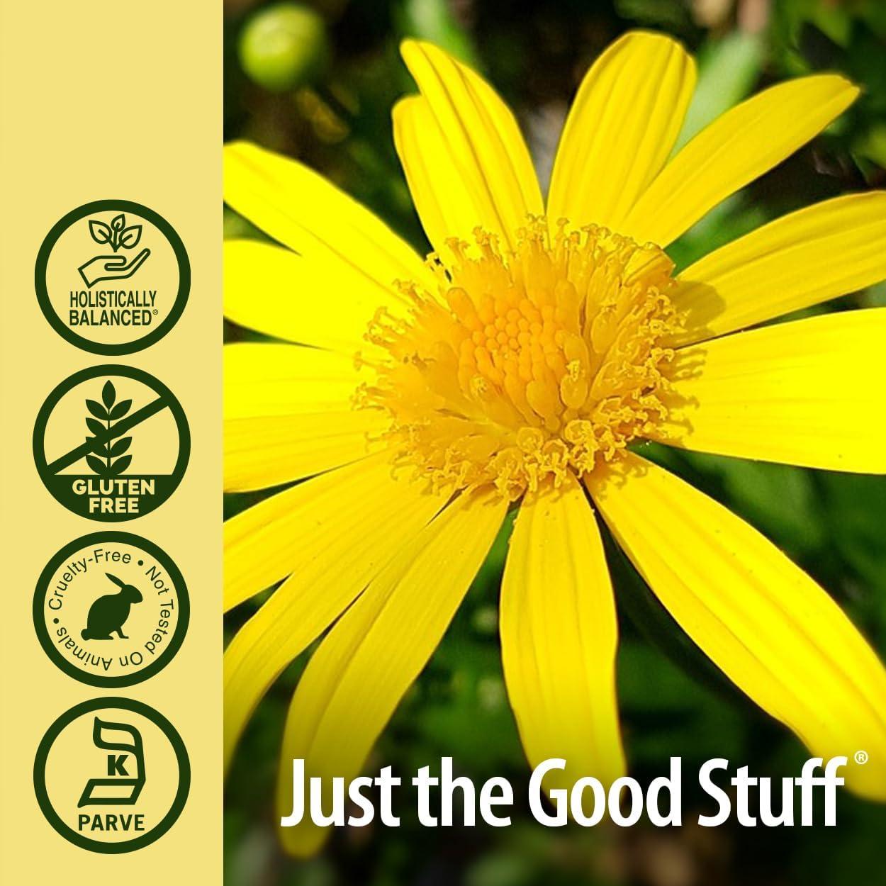 Raíz de Elecampane Nature's Answer 30 ml - Extracto Herbal