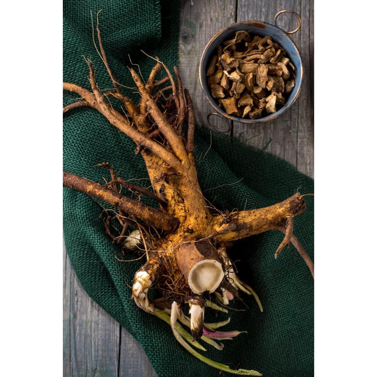 Té Herbal Oman Raíz Inula Helenium 100g - Libre de OGM