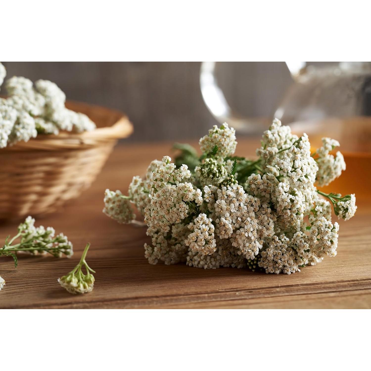 Té de Flores de Milenrama 30g - 100% Natural - Fluxias