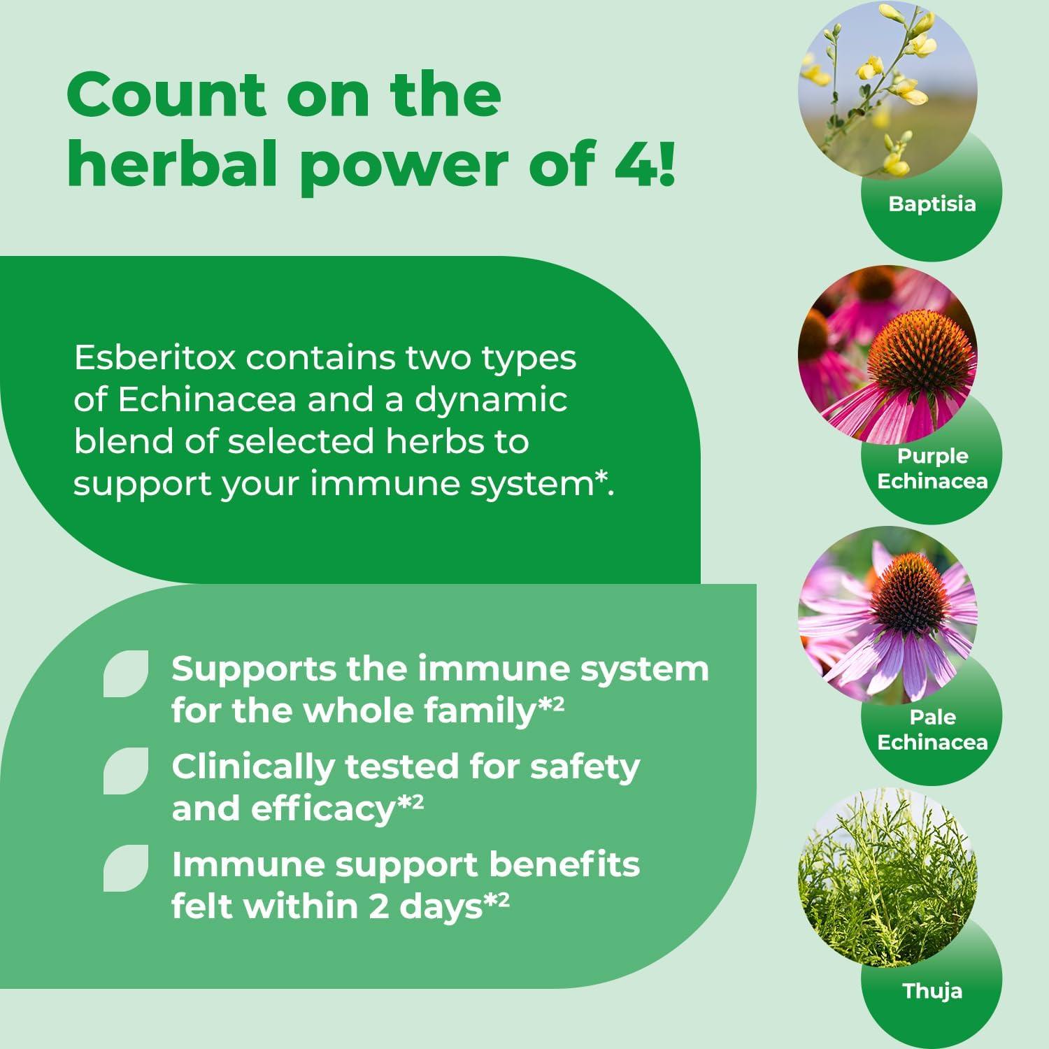 Echinacea Supercargada 100 Tabletas - Suplemento Inmunológico Herbal