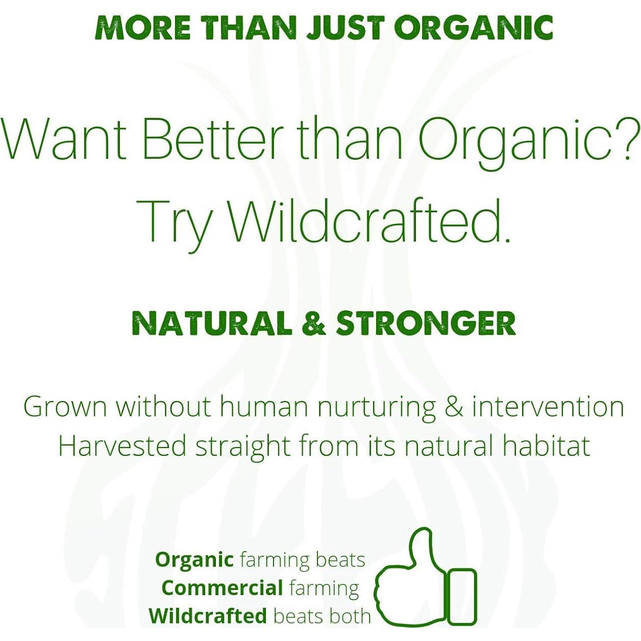 Cápsulas Limpiadoras de Sangre Orgánicas SpeedyVite 120 Unidades