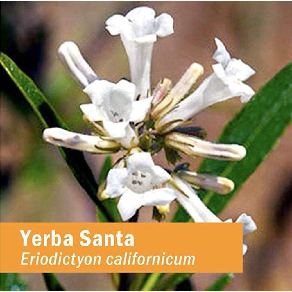 Extracto Líquido de Yerba Santa Herb Pharm 30 ml x 2