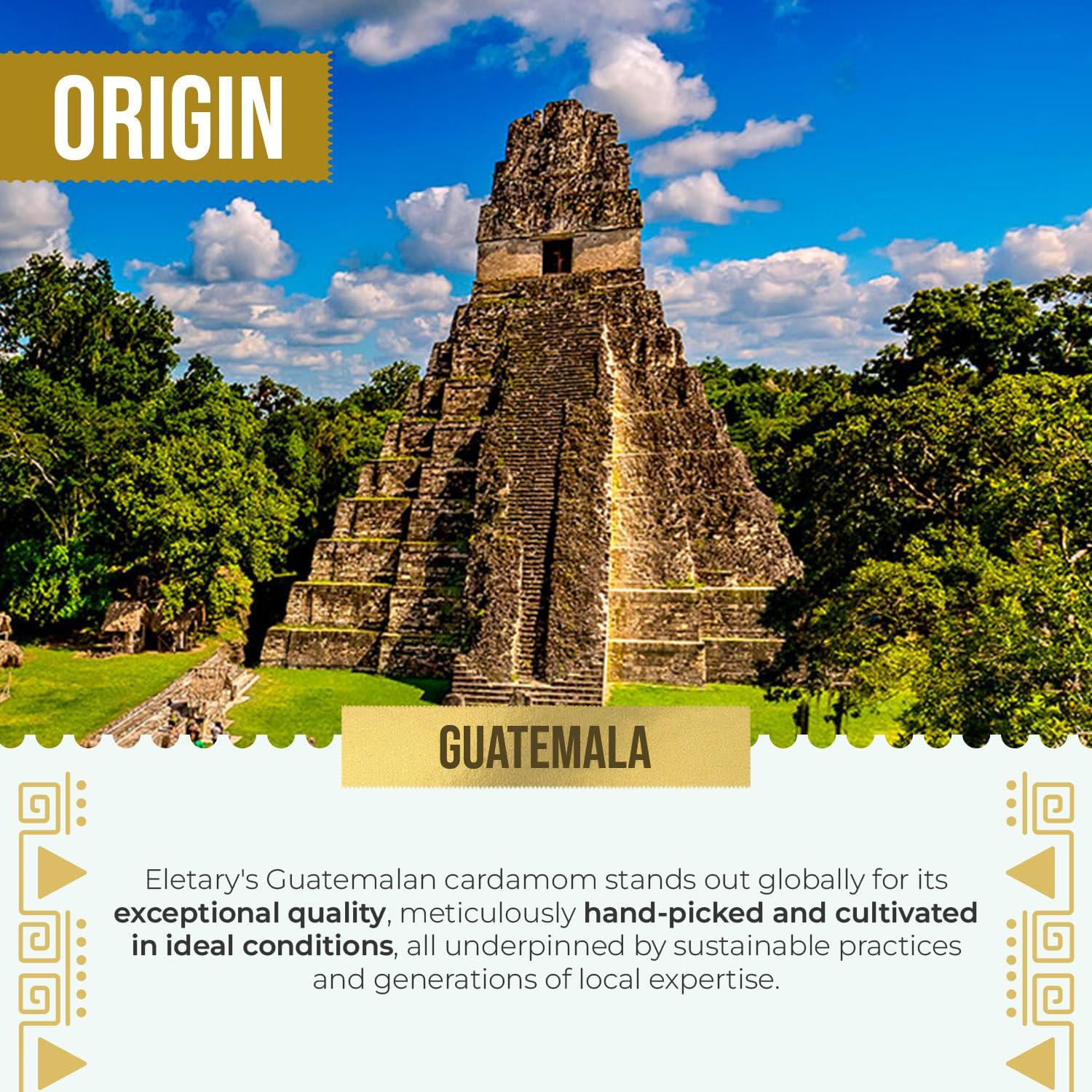 Cardamomo Molido Orgánico Eletary 142g - Sabor Auténtico de Guatemala