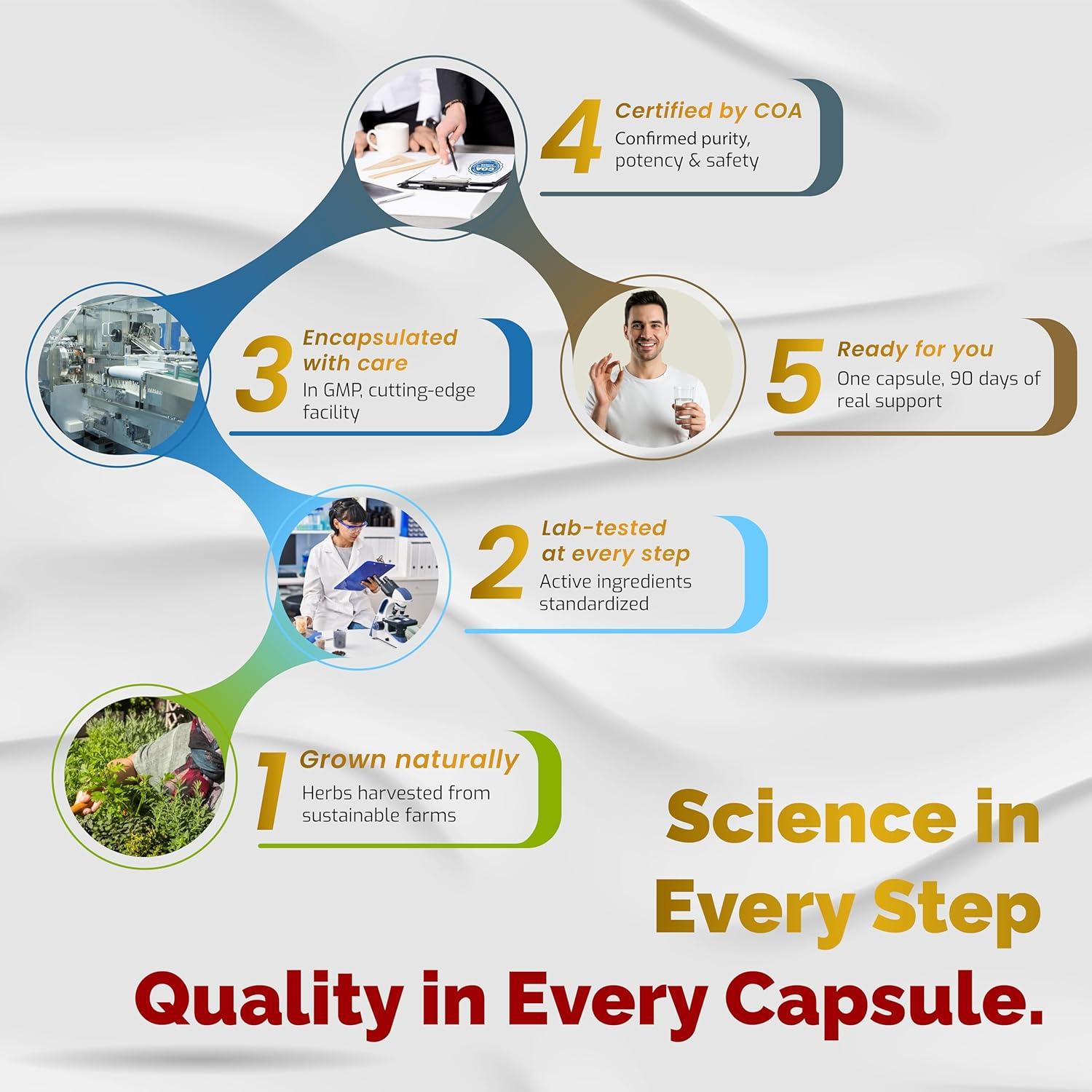 Suplemento Vegatot 6 en 1 Turkesterona 60 Cápsulas Energía