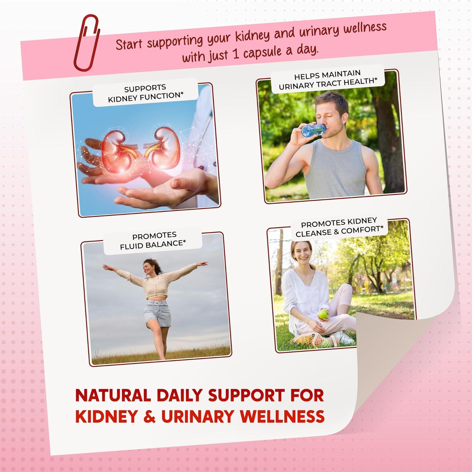 Suplemento Detox de Riñones PeakPury 150 Cápsulas - Arándano, Uva Ursi, Diente de León