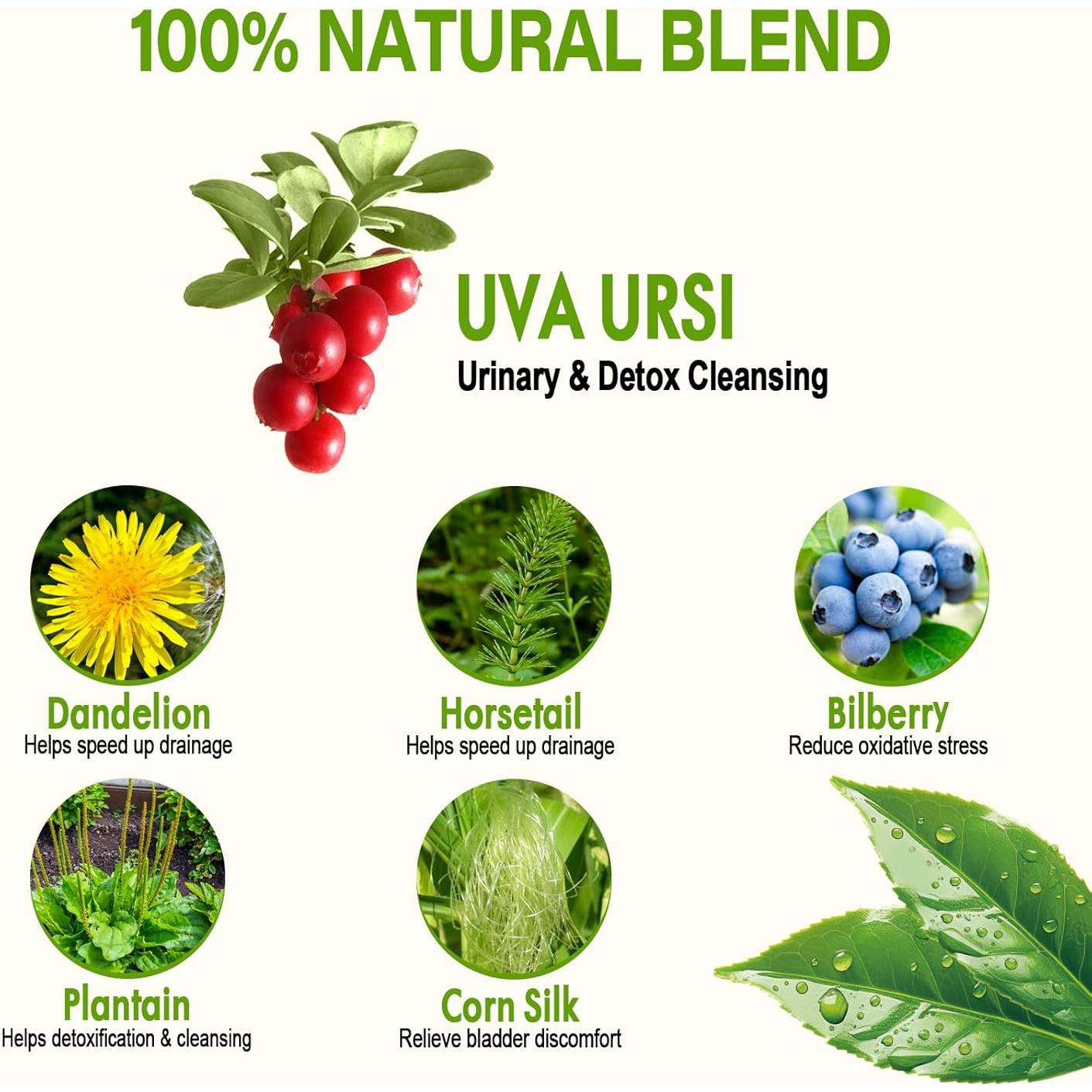 Té Diurético Natural HerbOLITHIC Uva Ursi 30 Bolsas Detox